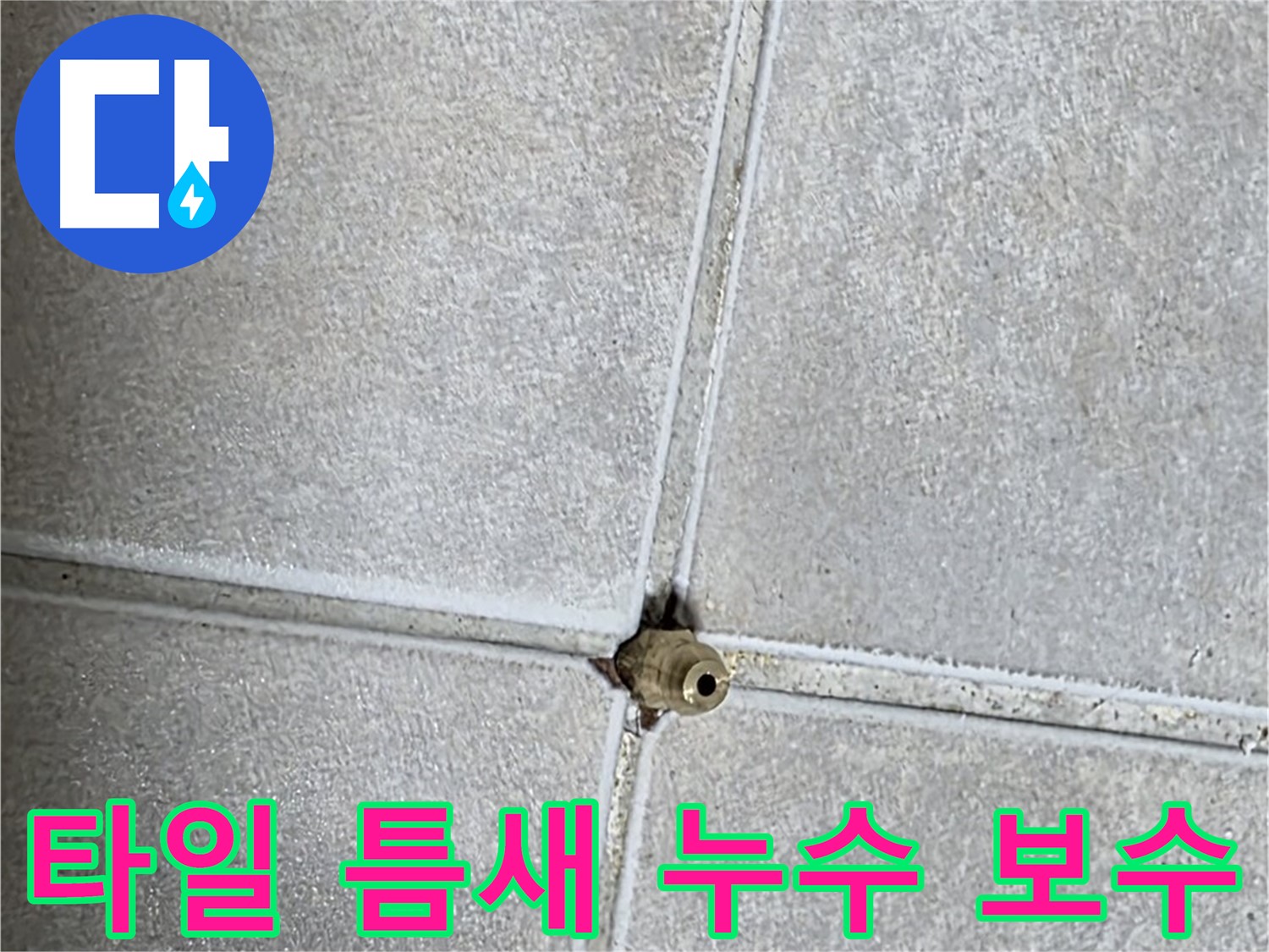 옥정 율정마을 아파트 화장실 타일 틈새 누수 보수 작업 - 꼼꼼한 시공으로 누수를 완벽하게 해결합니다.
