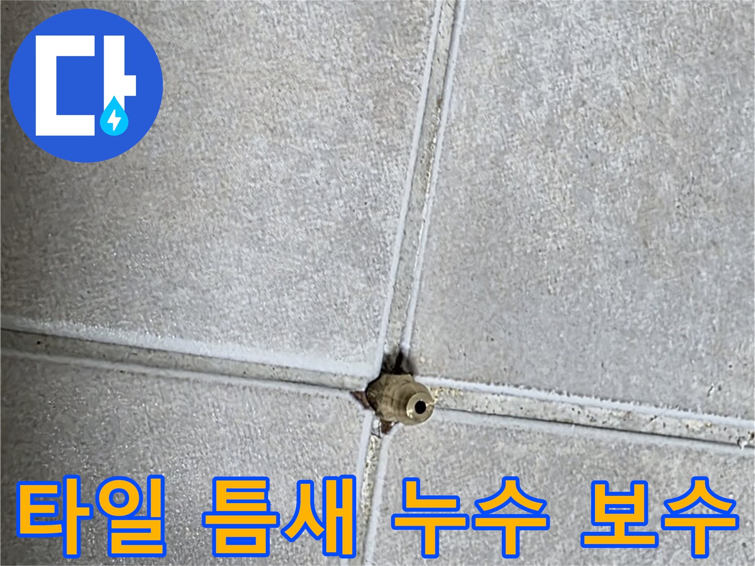 옥정 율정마을 아파트 화장실 타일 틈새 누수 보수 작업 - 꼼꼼한 시공으로 누수를 완벽하게 해결합니다.