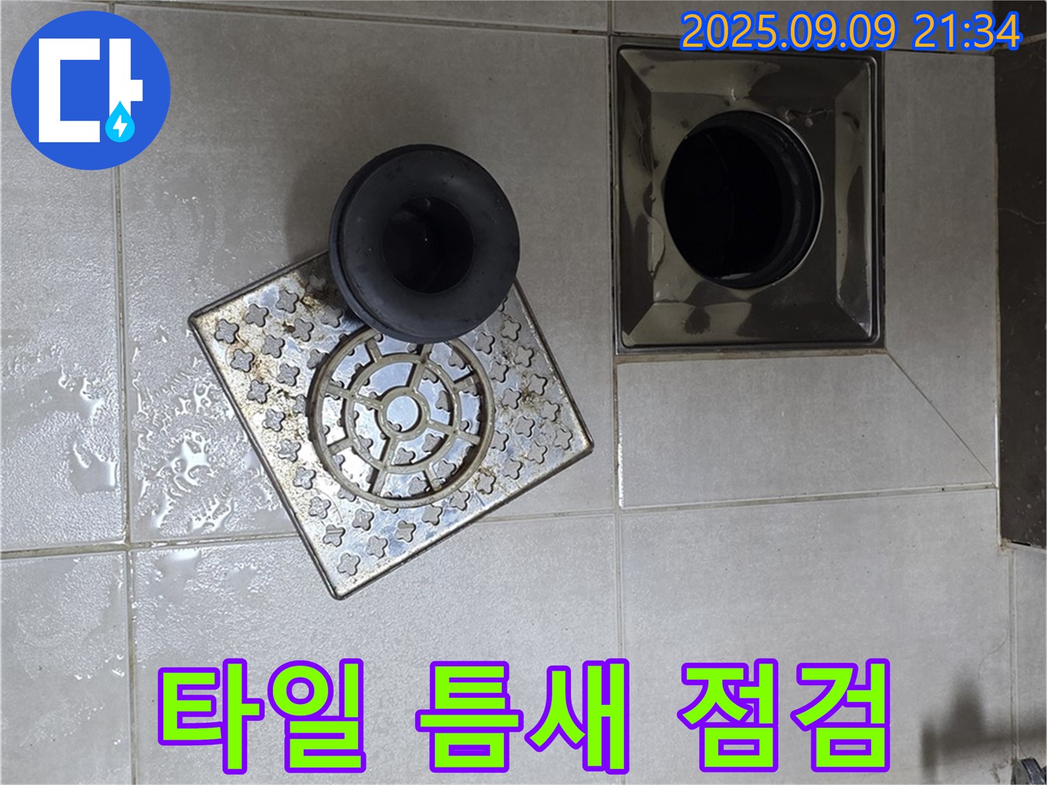 옥정동 율정마을 1309동 욕실 배수구 주변 타일 틈새 점검 및 보수 준비 - 꼼꼼하게 점검하고 틈새를 메워 누수를 예방합니다.