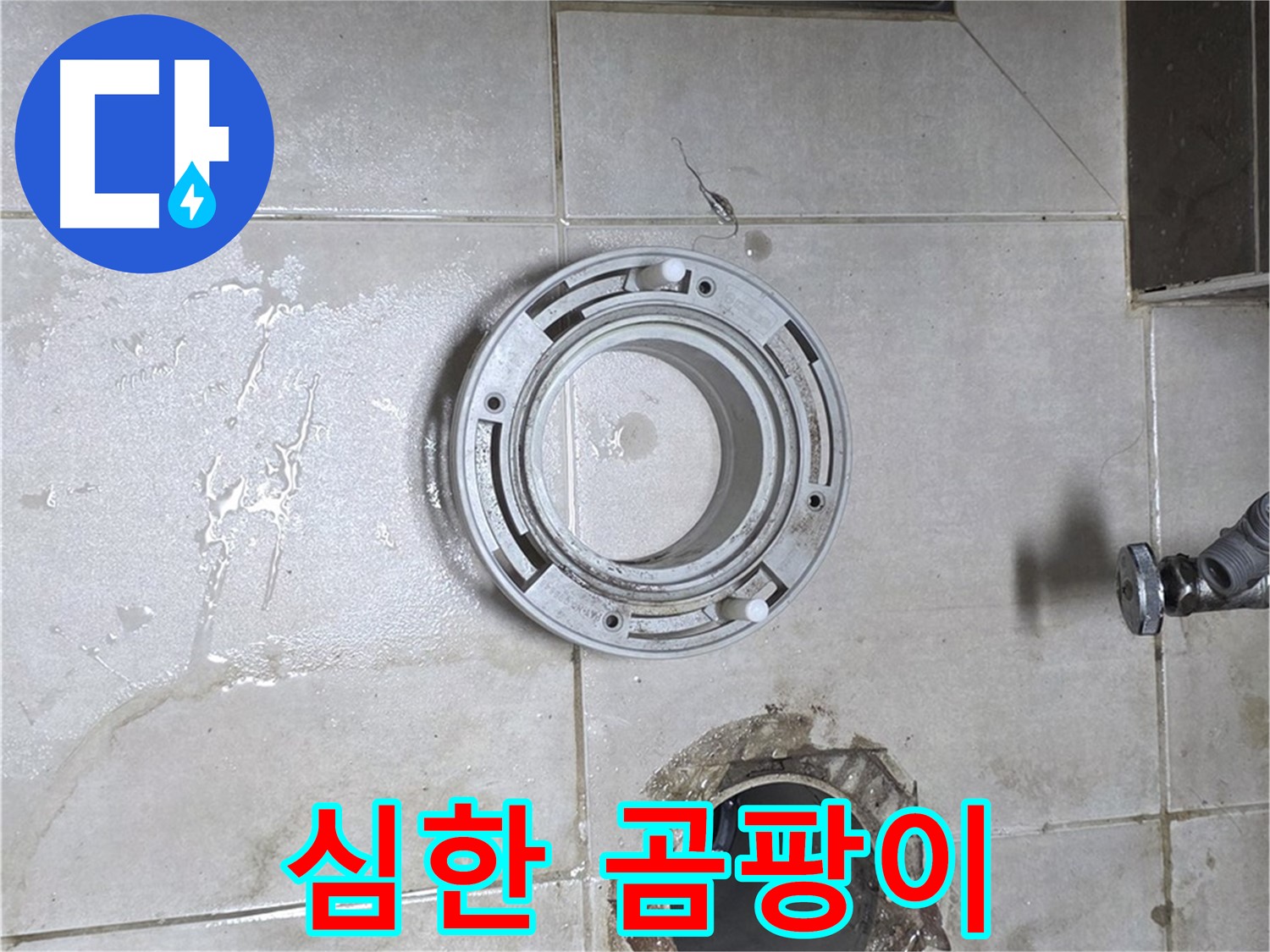 옥정동 율정마을 아파트 변기 누수 - 변기 주변에 곰팡이가 심하게 슬어있는 모습
