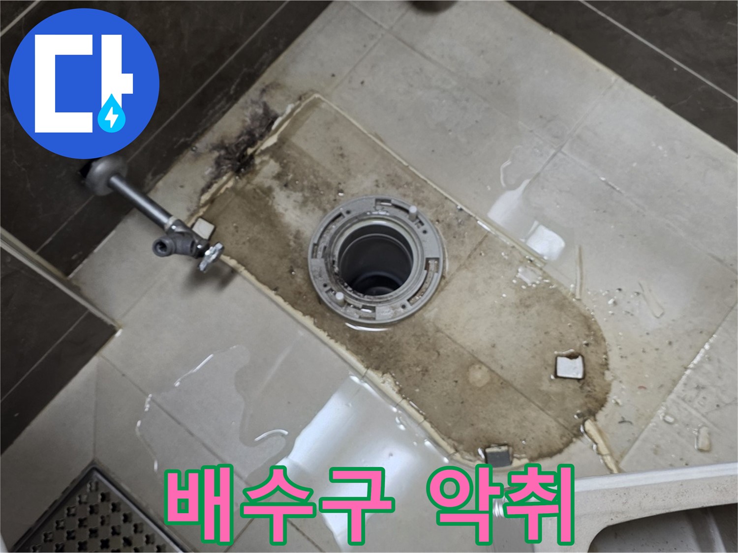 옥정동 율정마을 아파트 변기 누수 - 철거 후 바닥 배수구 주변 악취 발생