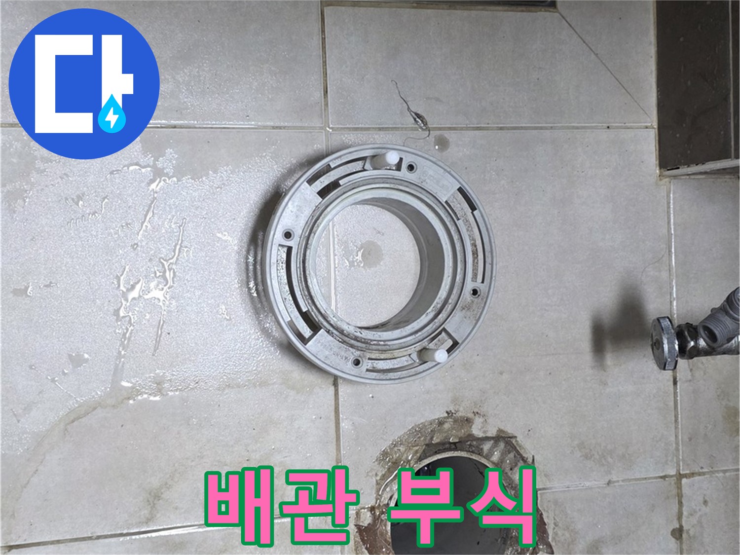 옥정동 율정마을 아파트 변기 하수구 누수 - 오래된 배관 부식 상태 확인