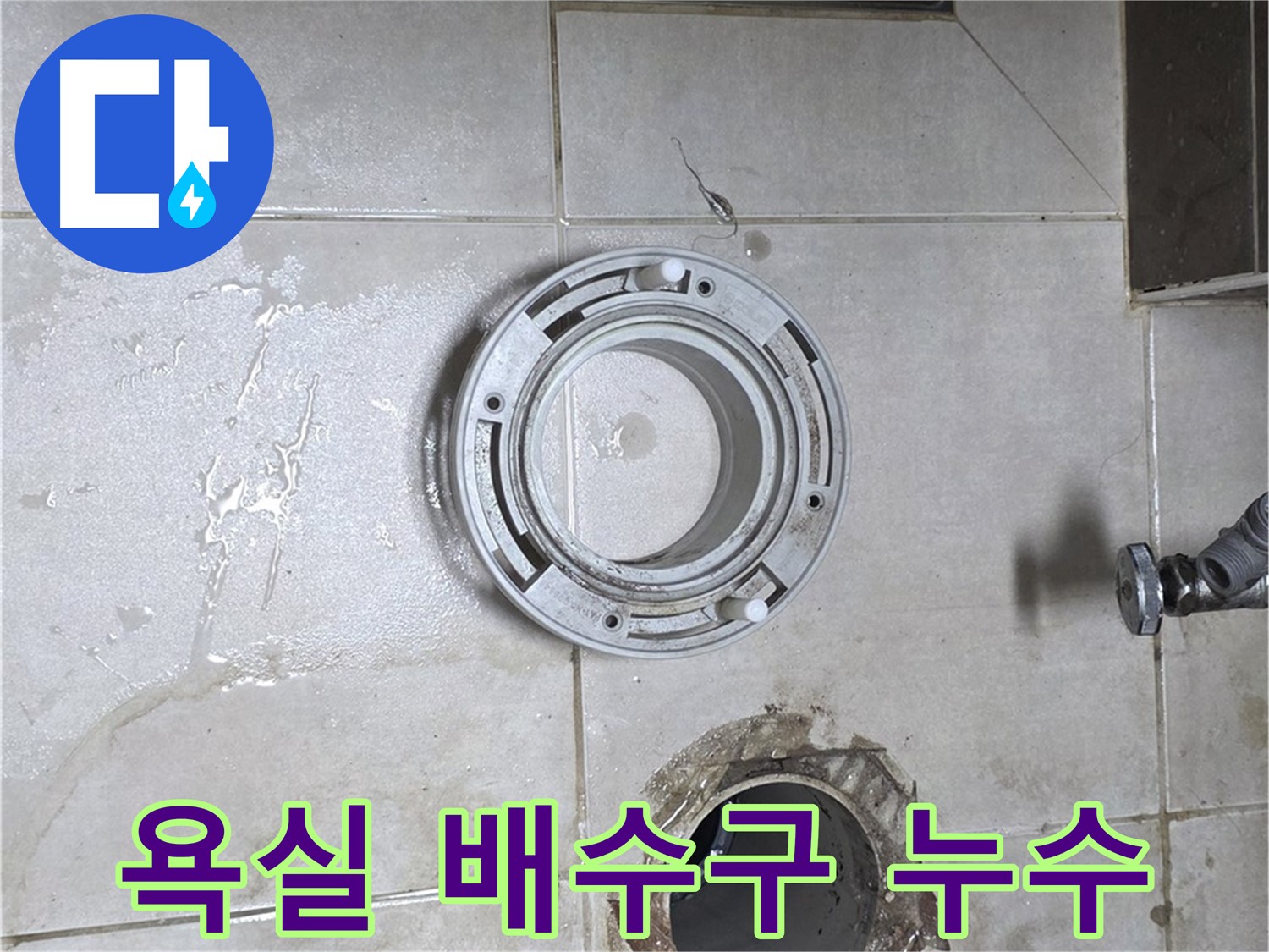 옥정동 율정마을 아파트 욕실 배수구 주변 누수 - 누수 문제 해결 전문가의 완벽 해결