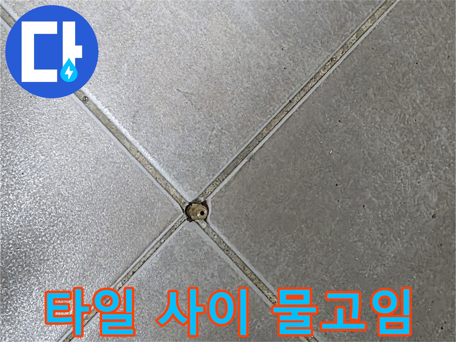 옥정동 율정마을 아파트 타일 사이 물고임 현상 - 누수탐지 전문가가 원인을 진단하고 해결 방안을 제시합니다.