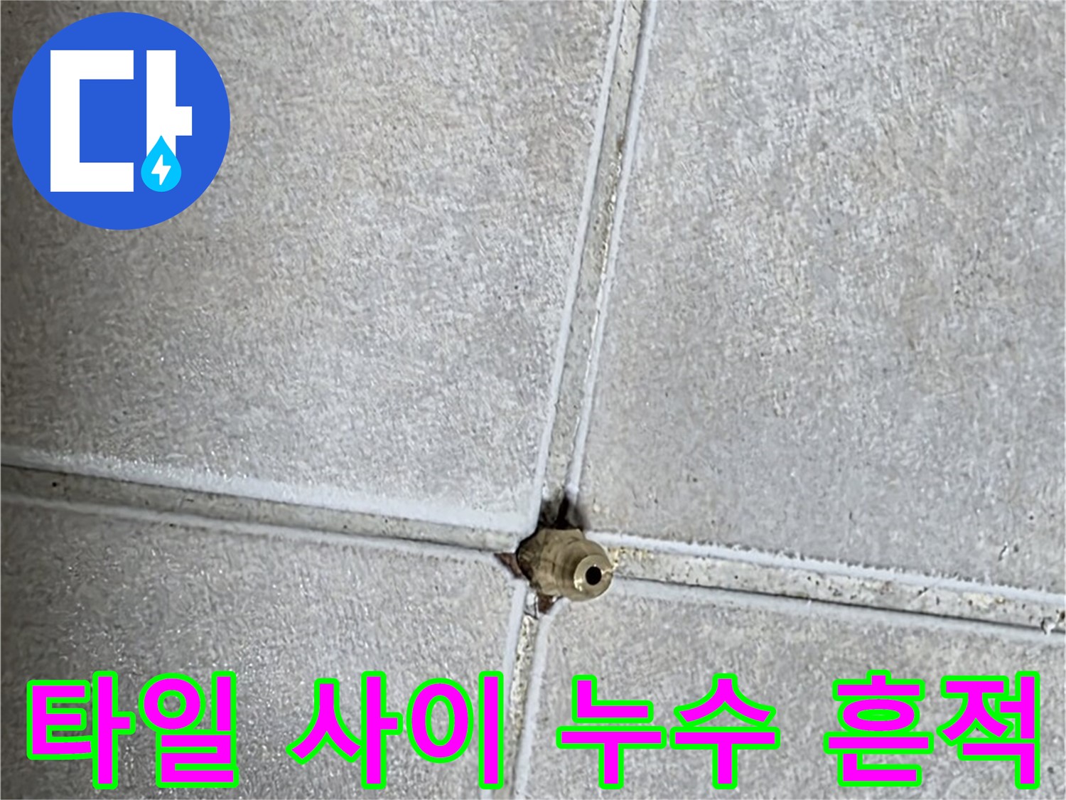 옥정동 율정마을 아파트 화장실 타일 사이에서 발견된 누수 흔적 - 전문 누수탐지 기술로 정확하게 찾아냈습니다.