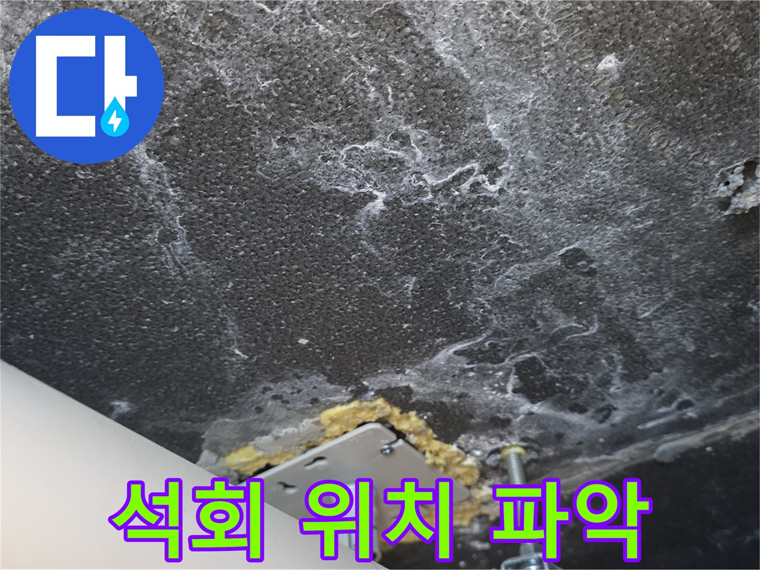 동패동 아파트 누수 - 천장 누수 석회 발생 위치 정밀 진단