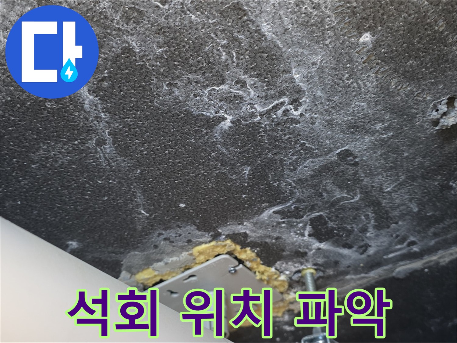 동패동 아파트 천장 누수 석회 - 정확한 누수 위치 파악