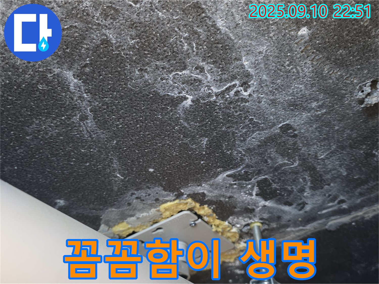 석회와 곰팡이 제거 작업을 진행 중인 천장 사진 - 꼼꼼하게 석회와 곰팡이를 제거하고 있습니다.