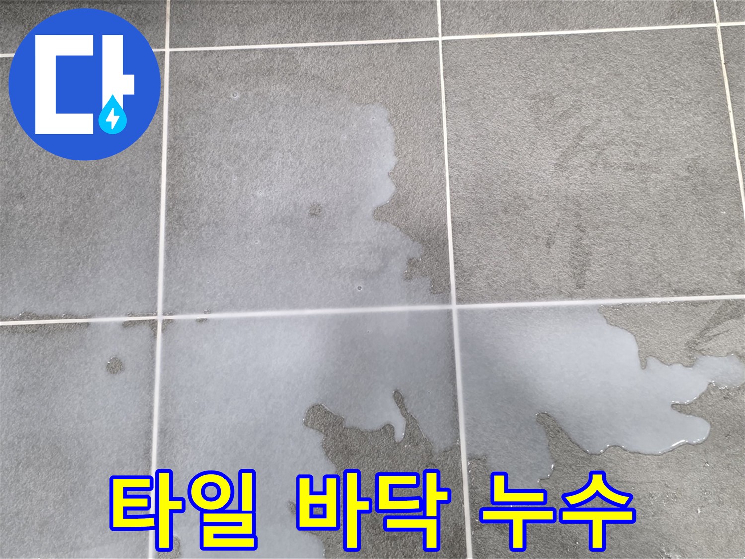 운정 지역 아파트 타일 바닥 누수 현장 - 정확한 누수 지점 탐지와 신속한 보수
