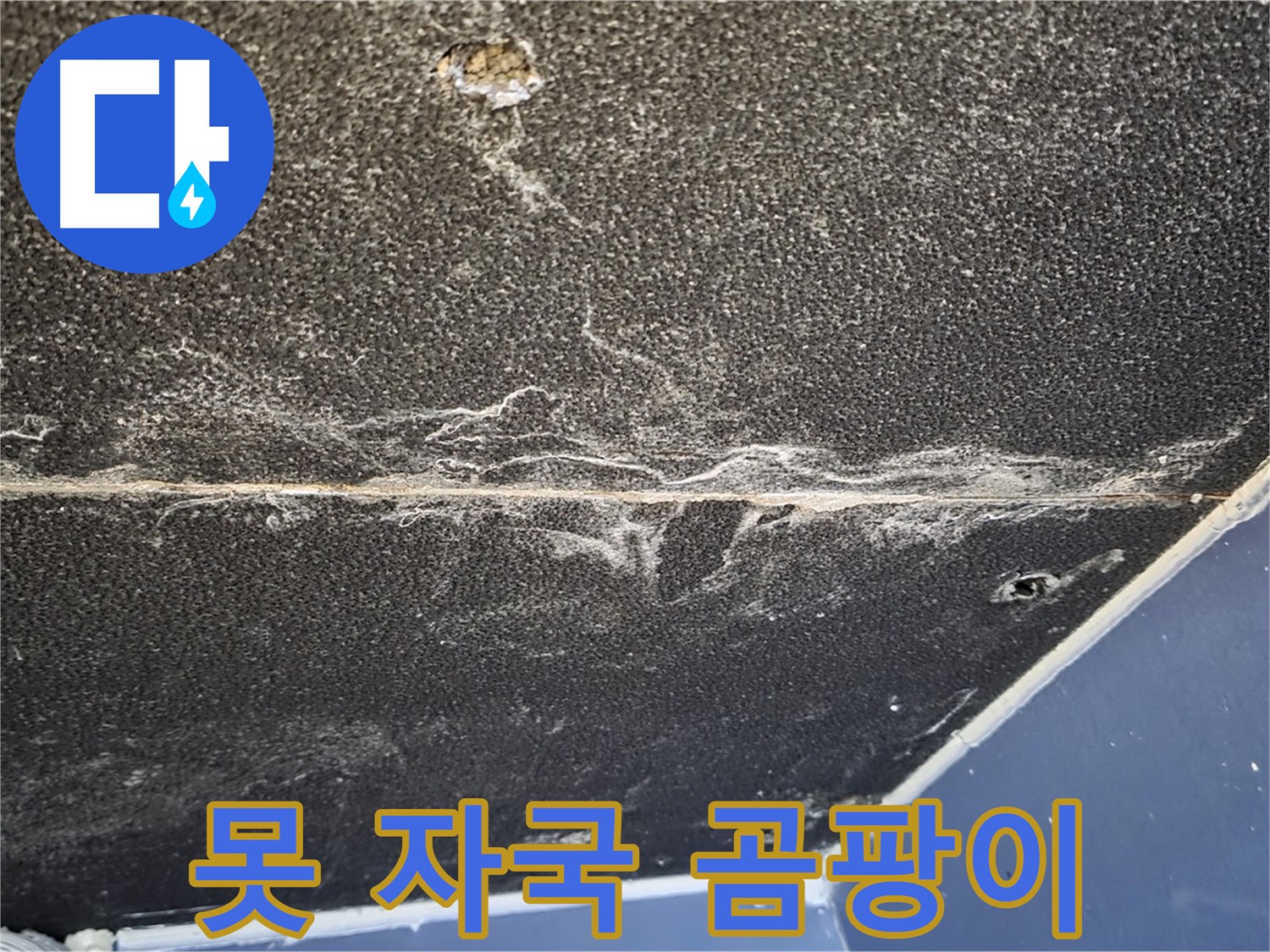 운정어반프라임 못 곰팡이 - 석고보드 못 자국 주변 곰팡이