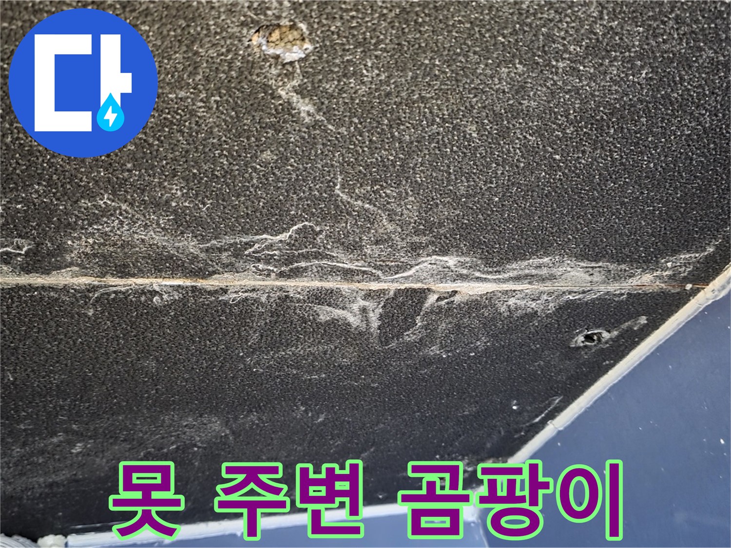 운정어반프라임 못 곰팡이 - 석고보드 못 주변 곰팡이 발생