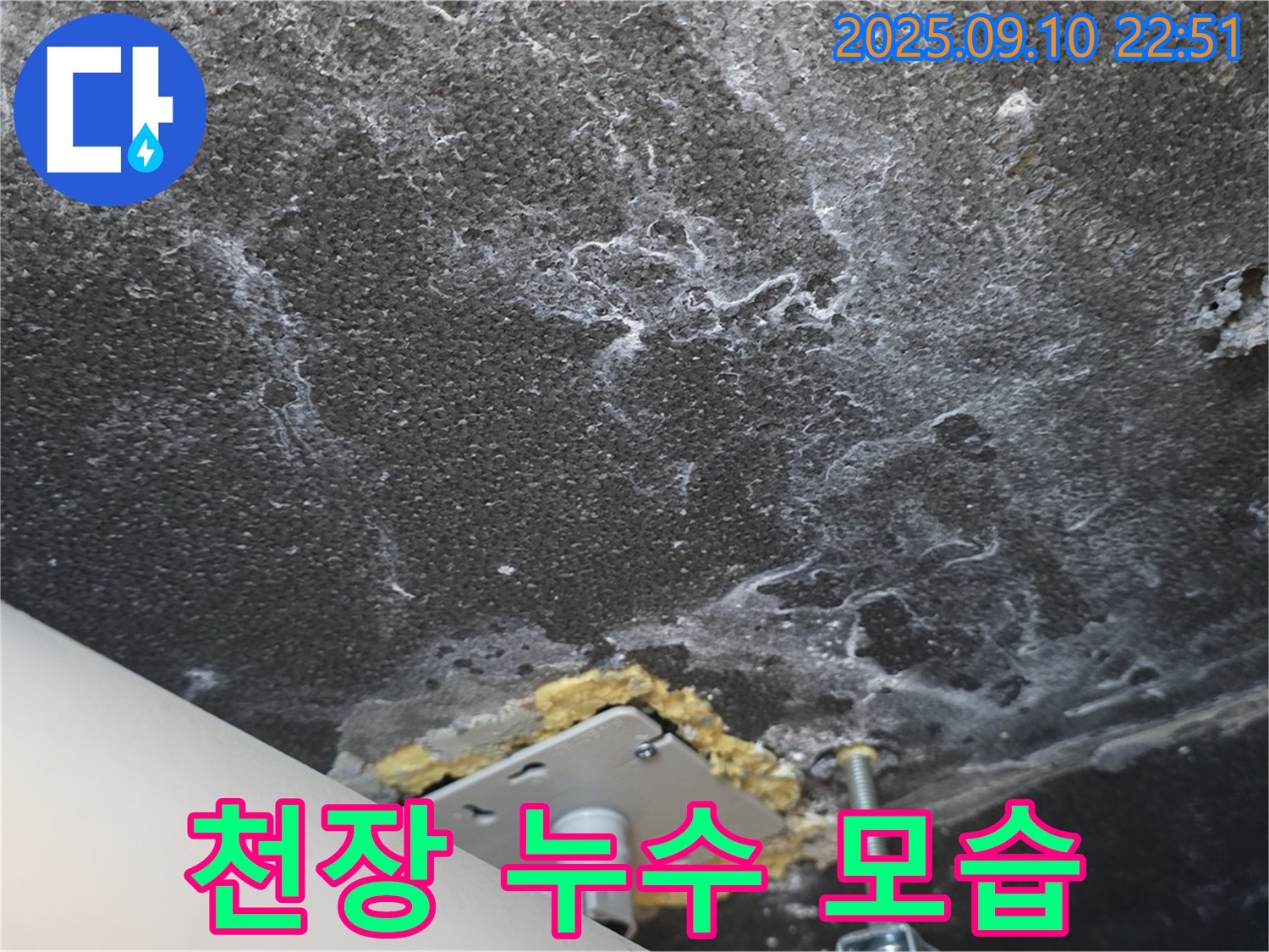 천장에서 누수가 발생하는 모습 사진 - 누수의 직접적인 증거를 보여줍니다.