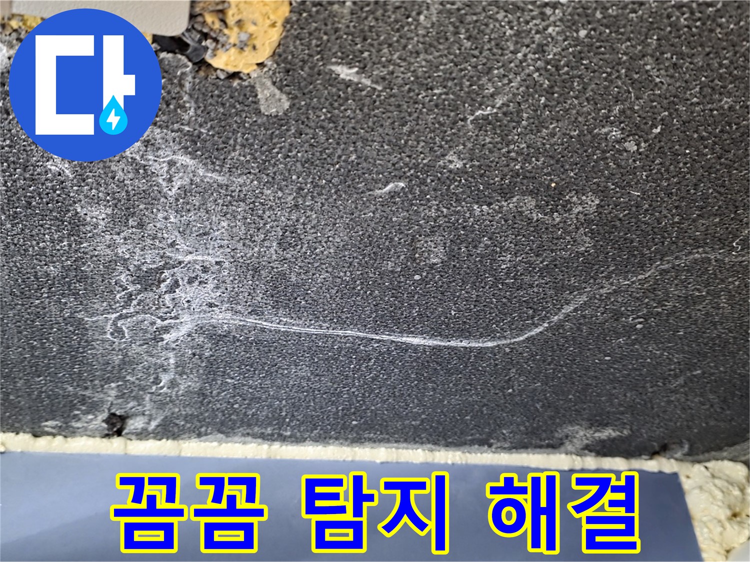 동패동 아파트 천장 누수 - 꼼꼼한 탐지로 누수 원인 해결