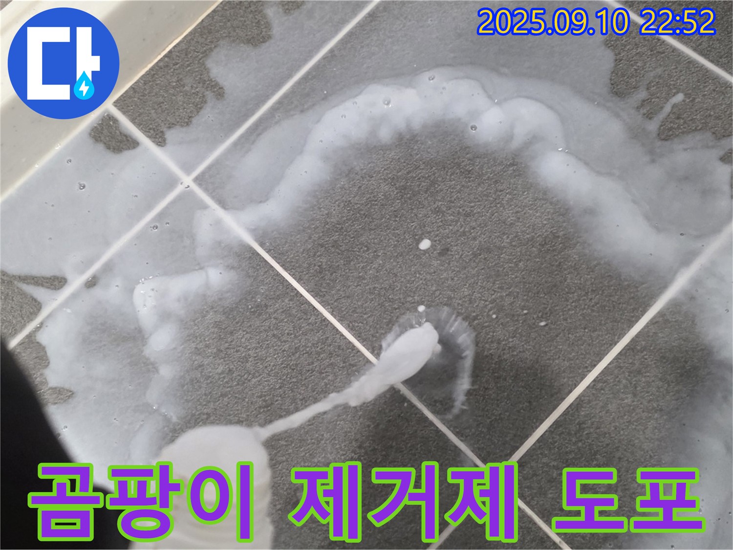파주 운정어반프라임 곰팡이 제거제 도포 - 곰팡이 뿌리까지 말끔하게!