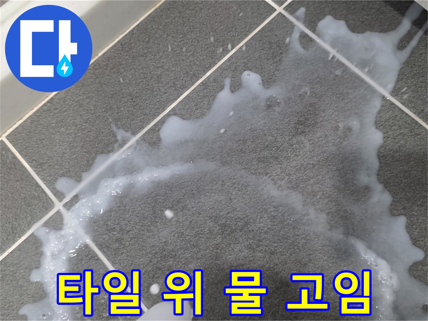 파주시 동패동 운정어반프라임 1201동 아파트 타일 위 물 고임 - 긴급 누수 점검으로 확산 방지