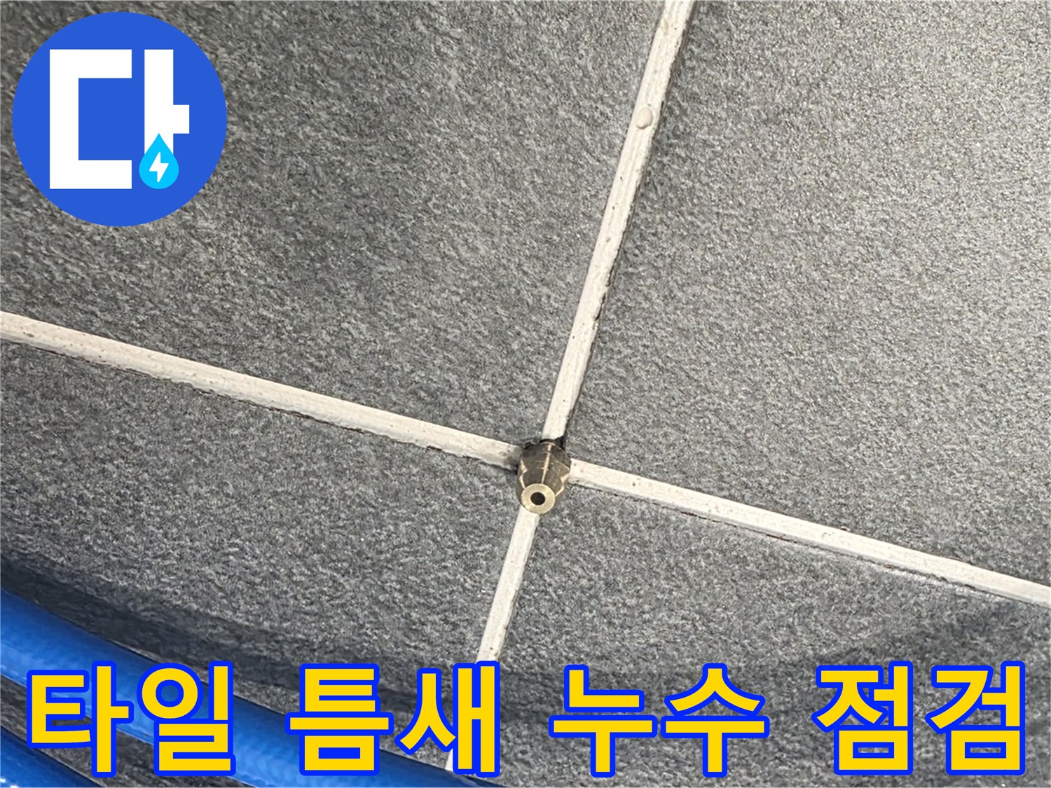 파주시 동패동 운정어반프라임 아파트 누수 - 타일 틈새의 누수 여부를 꼼꼼하게 점검하는 모습입니다.
