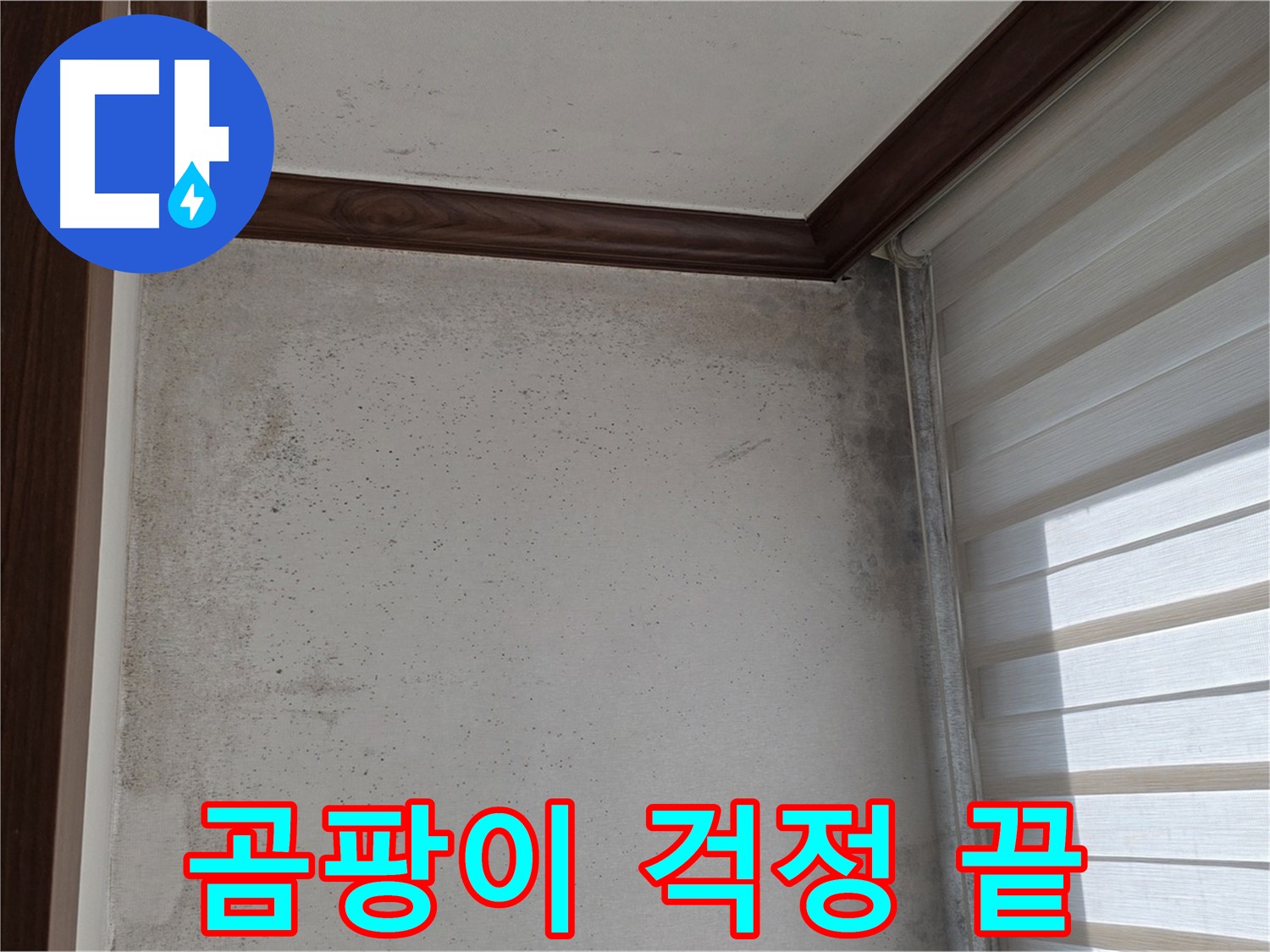 노원구 중계2동 현대5차 곰팡이 누수 - 곰팡이, 이제 걱정 끝 - 완벽 해결