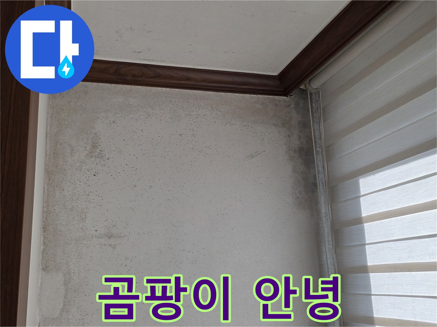 노원구 중계2동 현대5차 곰팡이 누수 - 곰팡이, 이제 안녕! 완벽 해결