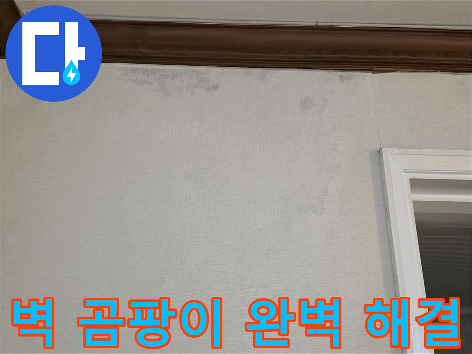 노원구 중계동 현대5차 211동 벽 곰팡이 - 완벽한 누수 해결 보장