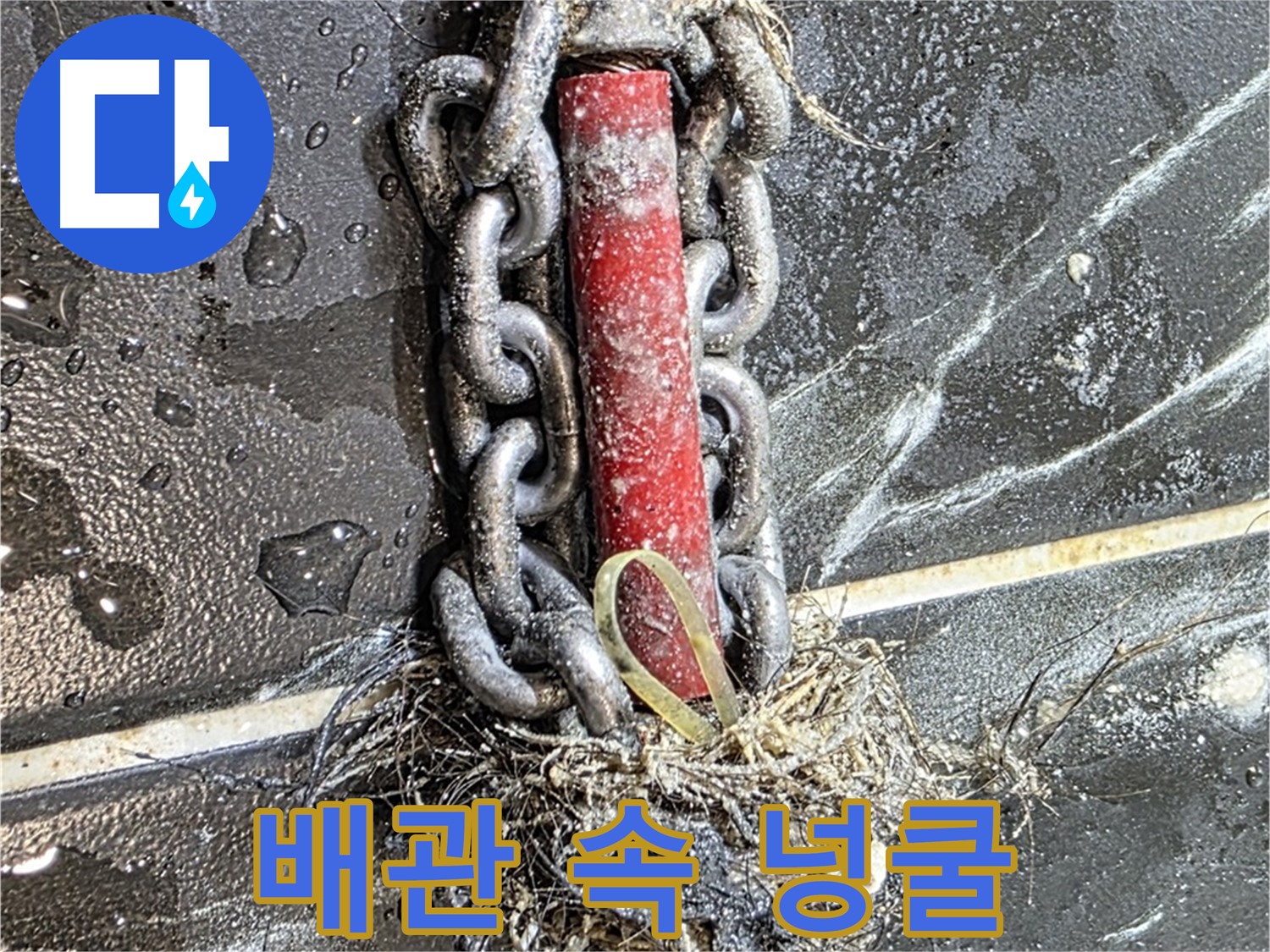 노원구 중계동 현대5차 아파트 누수 - 배관 속 '넝쿨'처럼 엉킨 이물질 덩어리