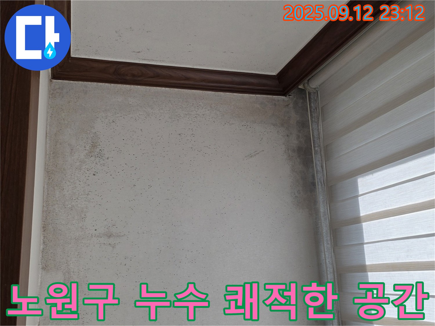 노원구 중계동 현대5차 아파트 누수 해결 - 곰팡이 문제 해결 후 쾌적한 공간으로 변신한 모습을 확인하세요.