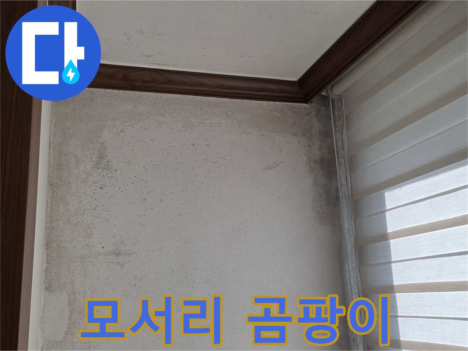 노원구 중계동 현대5차 아파트 - 벽 모서리 곰팡이 - 결로 또는 누수 의심