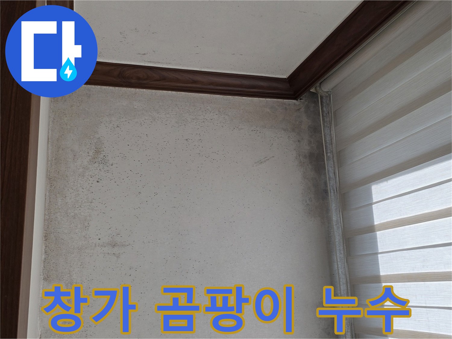 노원구 중계동 현대5차 창가 곰팡이 - 누수 의심 부위 정밀 점검