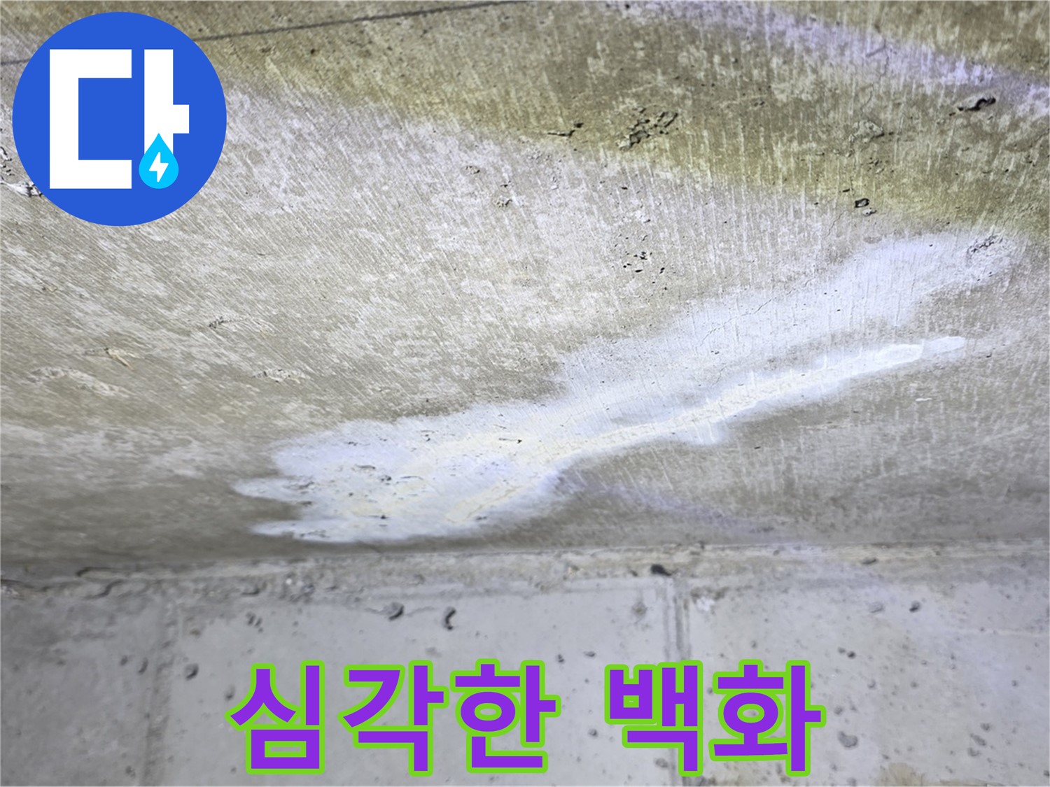 중계2동 현대5차 아파트 - 심각한 천장 백화 현상 - 누수 진행 중