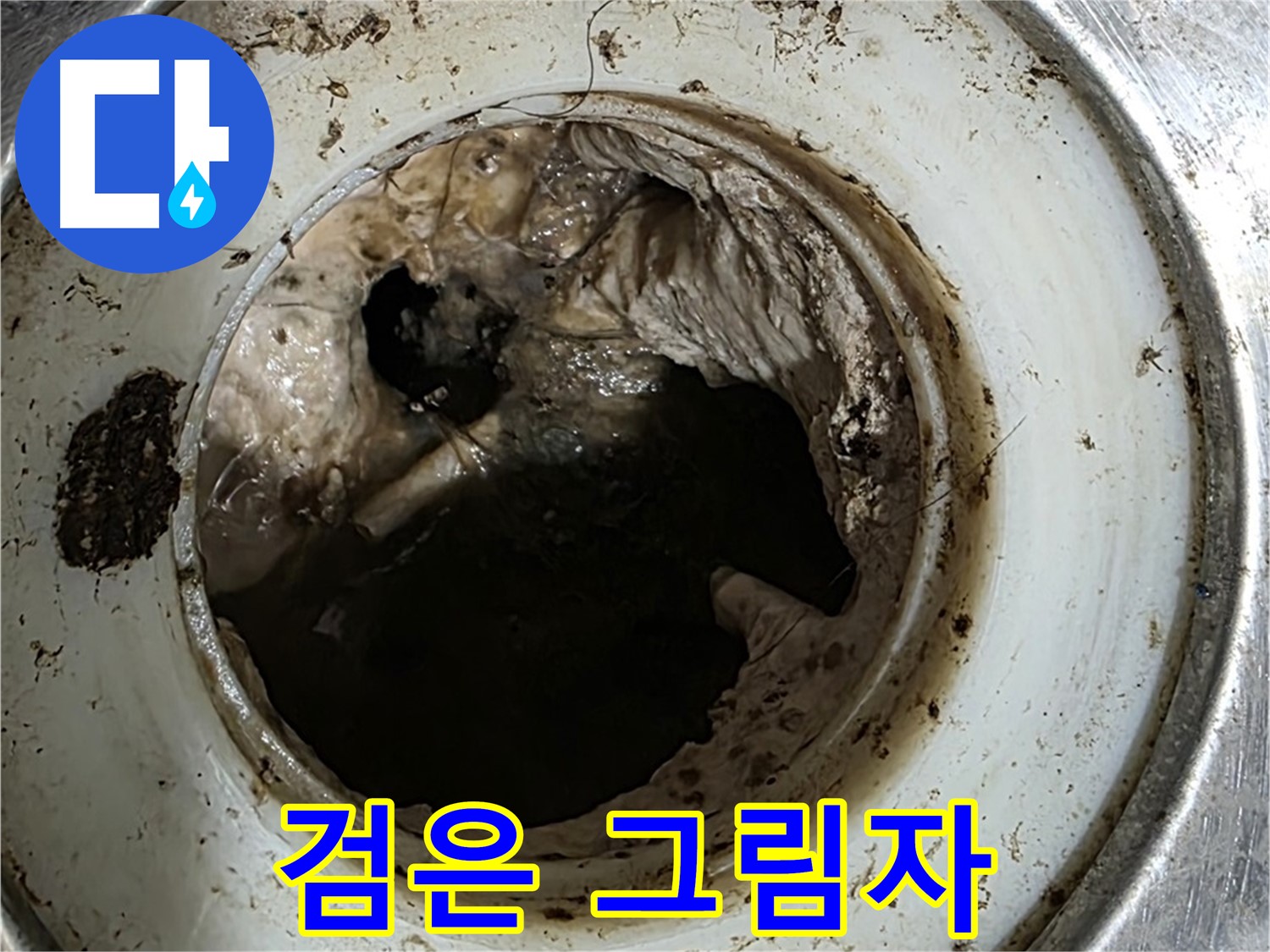 중계동 현대5차 211동 누수 - 배수구 속 검은 그림자, 막힘 주범