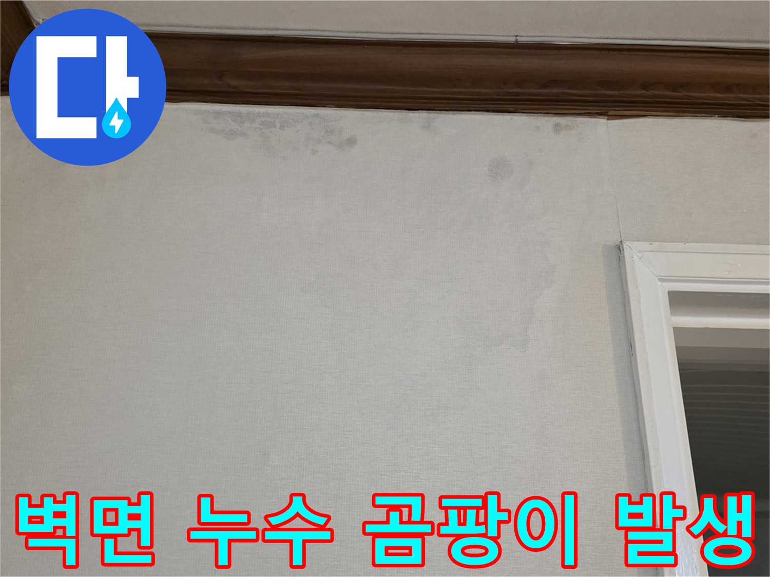 중계동 현대5차 211동 벽면 누수 - 곰팡이 발생 원인 분석 및 누수 해결 과정 상세 설명
