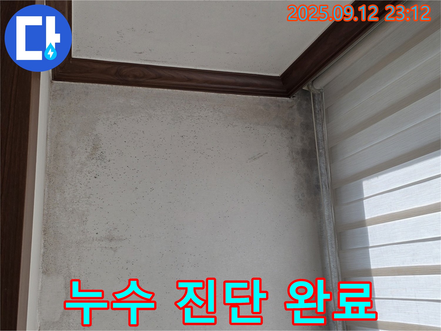중계동 현대5차 211동 아파트 누수 현장 - 곰팡이와의 이별을 준비하며 누수 진단 작업에 착수 완료한 모습입니다.