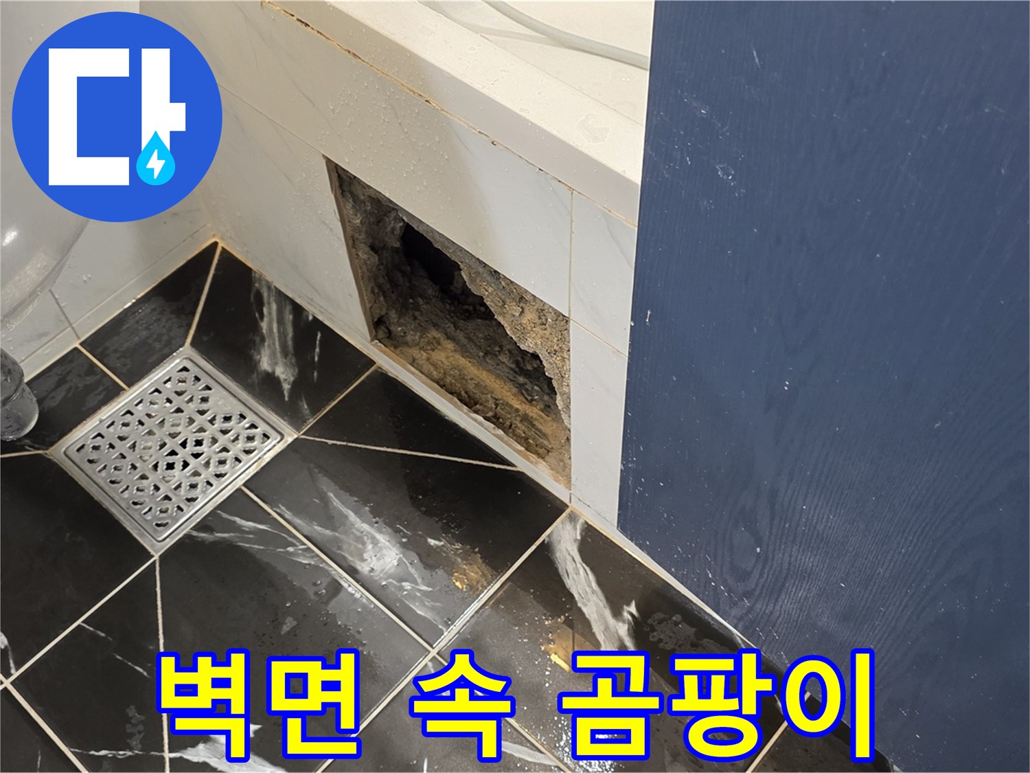 중계동 현대5차 211동 욕실 - 벽면 속 심각한 곰팡이 발견 - 노원구 누수탐지가 시급합니다.