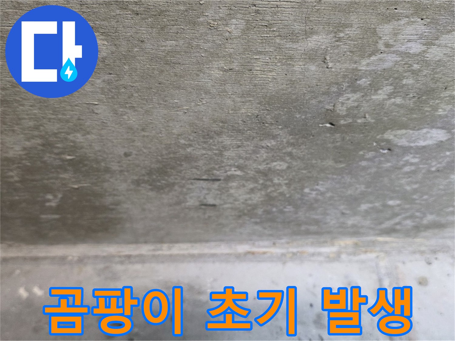 중계동 현대5차 211동 콘크리트 천장 누수 - 곰팡이 발생 초기 단계 - 빠른 조치가 필요합니다.
