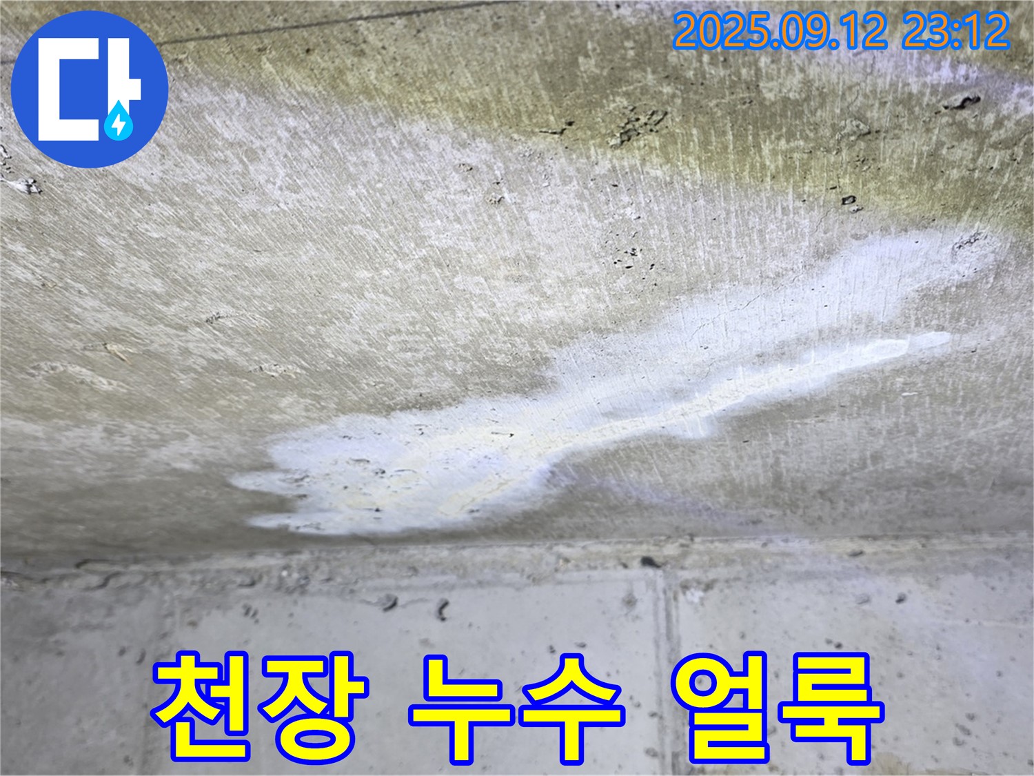 중계동 현대5차 아파트 누수 - 천장 누수 얼룩 - 긴급 점검 필요