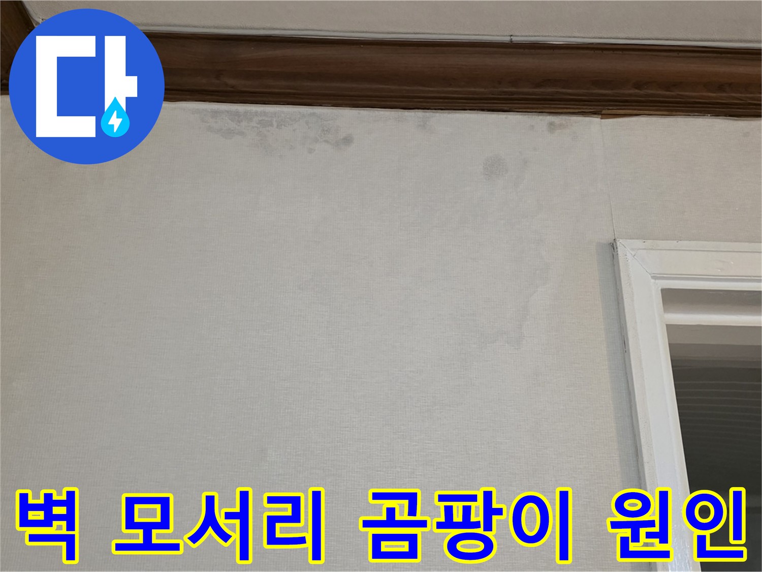 중계동 현대5차 아파트 벽 모서리 곰팡이 - 정확한 누수 원인 진단 과정