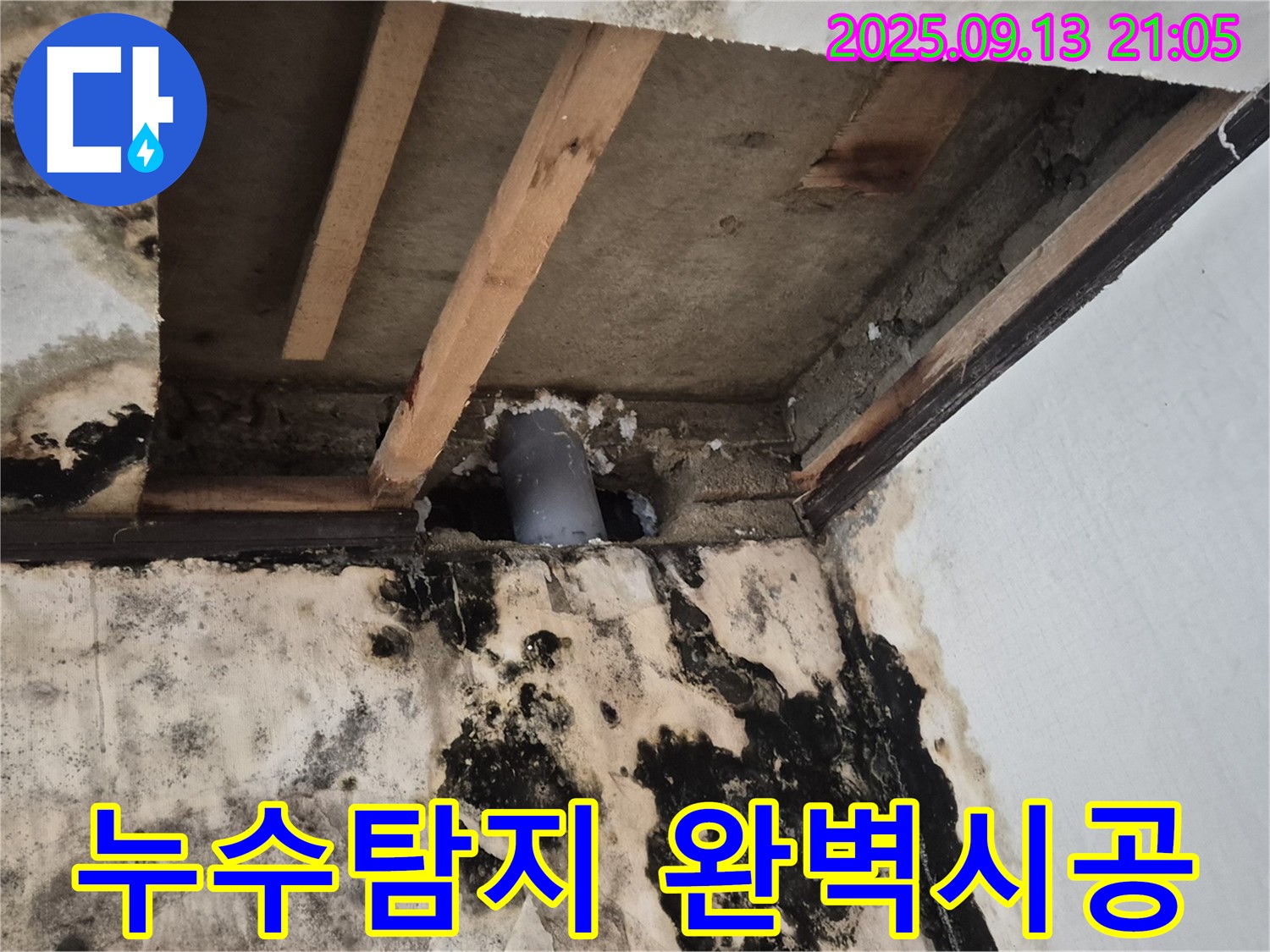 곰팡이 핀 벽면, 누수탐지부터 완벽 시공까지 - 창동 누수 해결