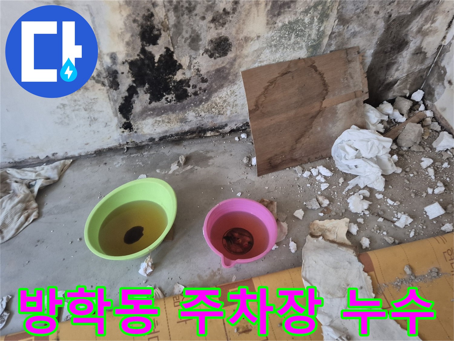 도봉구 방학동 덕릉로54가길 누수 현장 - 주차장 천장에서 물이 떨어지고 있고 바닥에 물이 고여있는 모습입니다 - 건물 안전에 심각한 위협이 될 수 있습니다.
