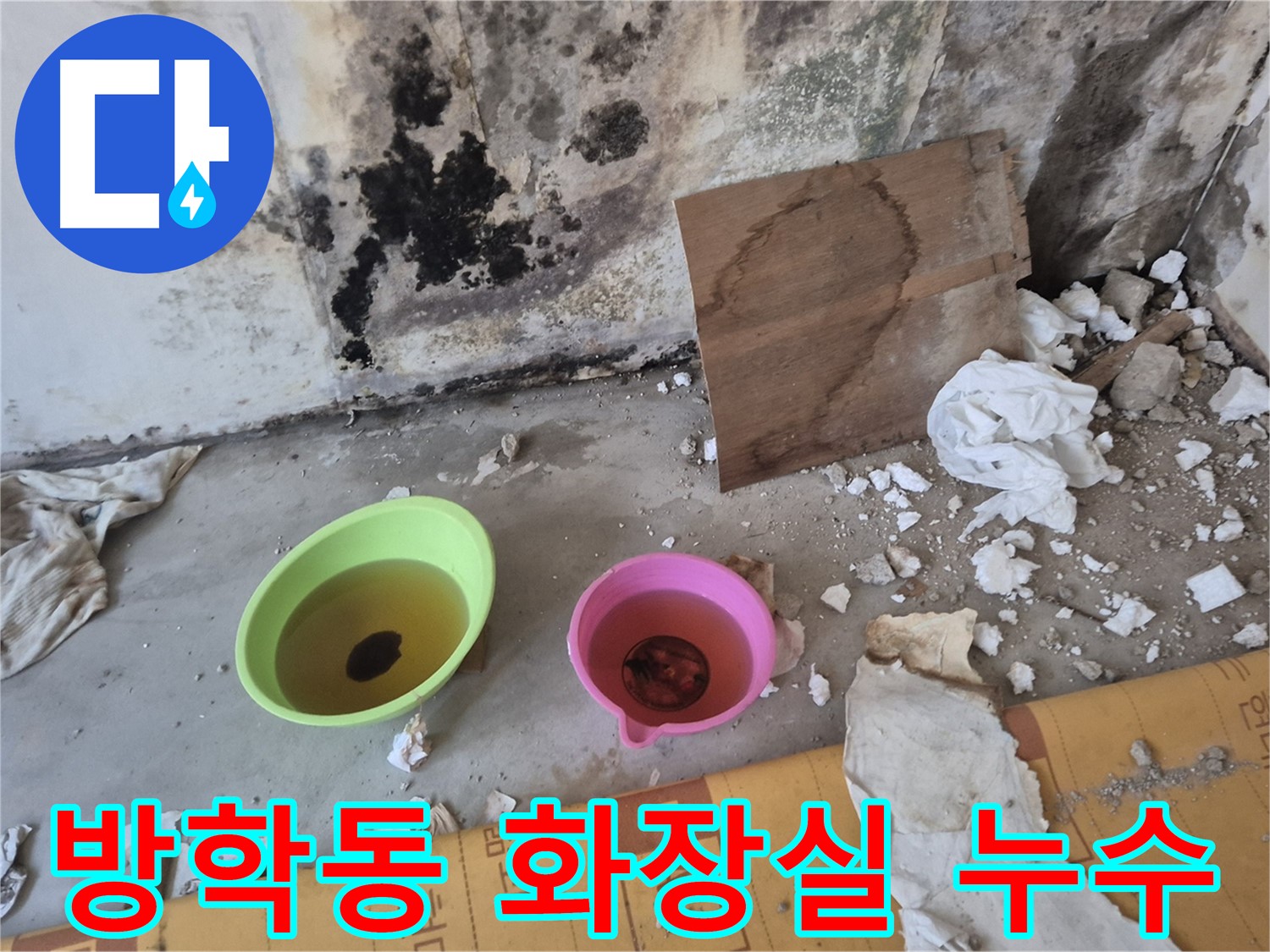 도봉구 방학동 덕릉로54가길 누수 현장 - 화장실 벽에 곰팡이가 심하게 피어있고 물이 고여있는 모습 - 건강을 위협하는 습한 화장실입니다.