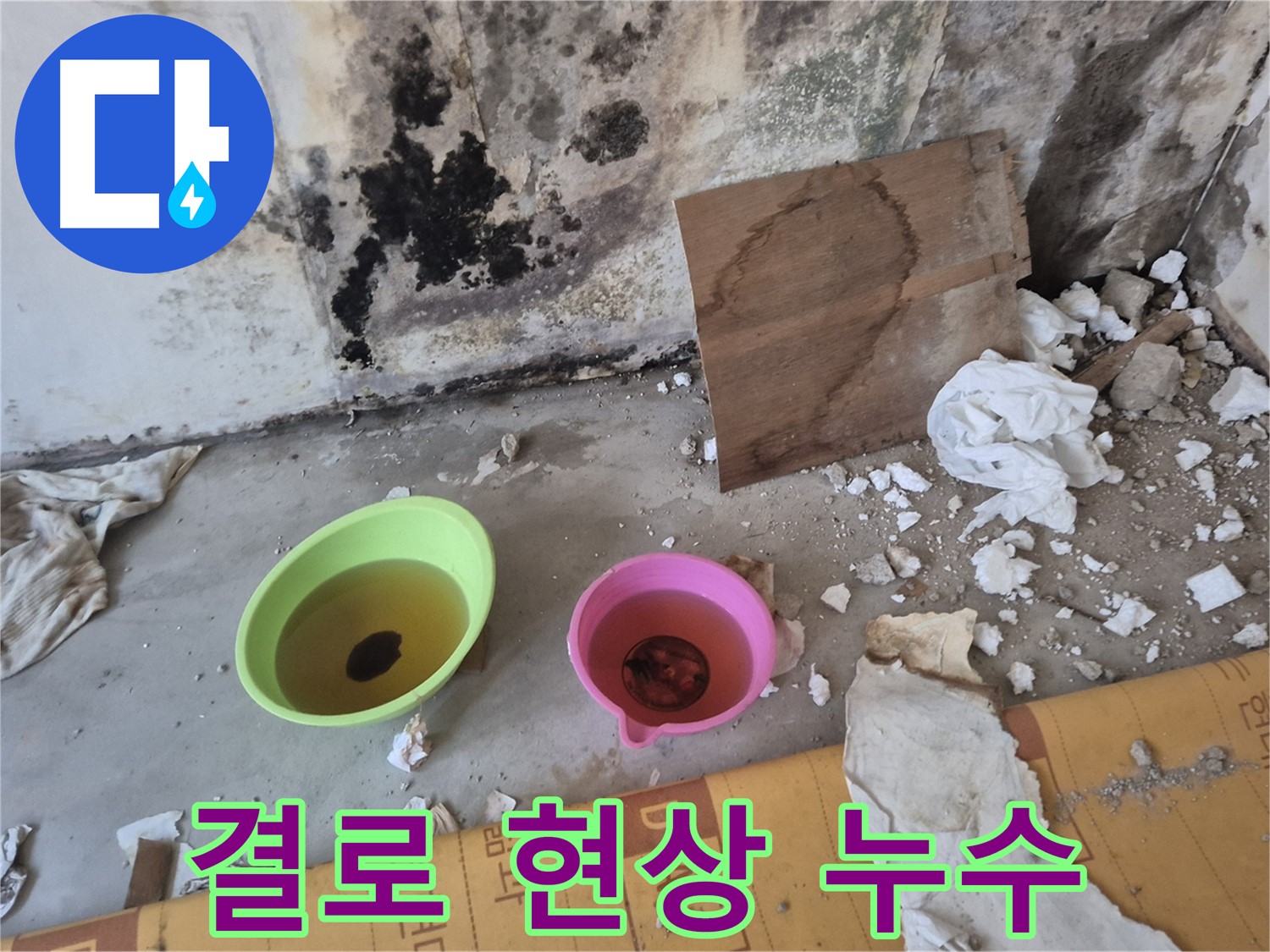 도봉구 숭미가든빌라 결로 현상 누수 현장 - 벽에 곰팡이가 심하게 피어있고, 물방울이 맺혀있는 모습입니다. 결로와 누수가 복합적으로 발생한 상황.