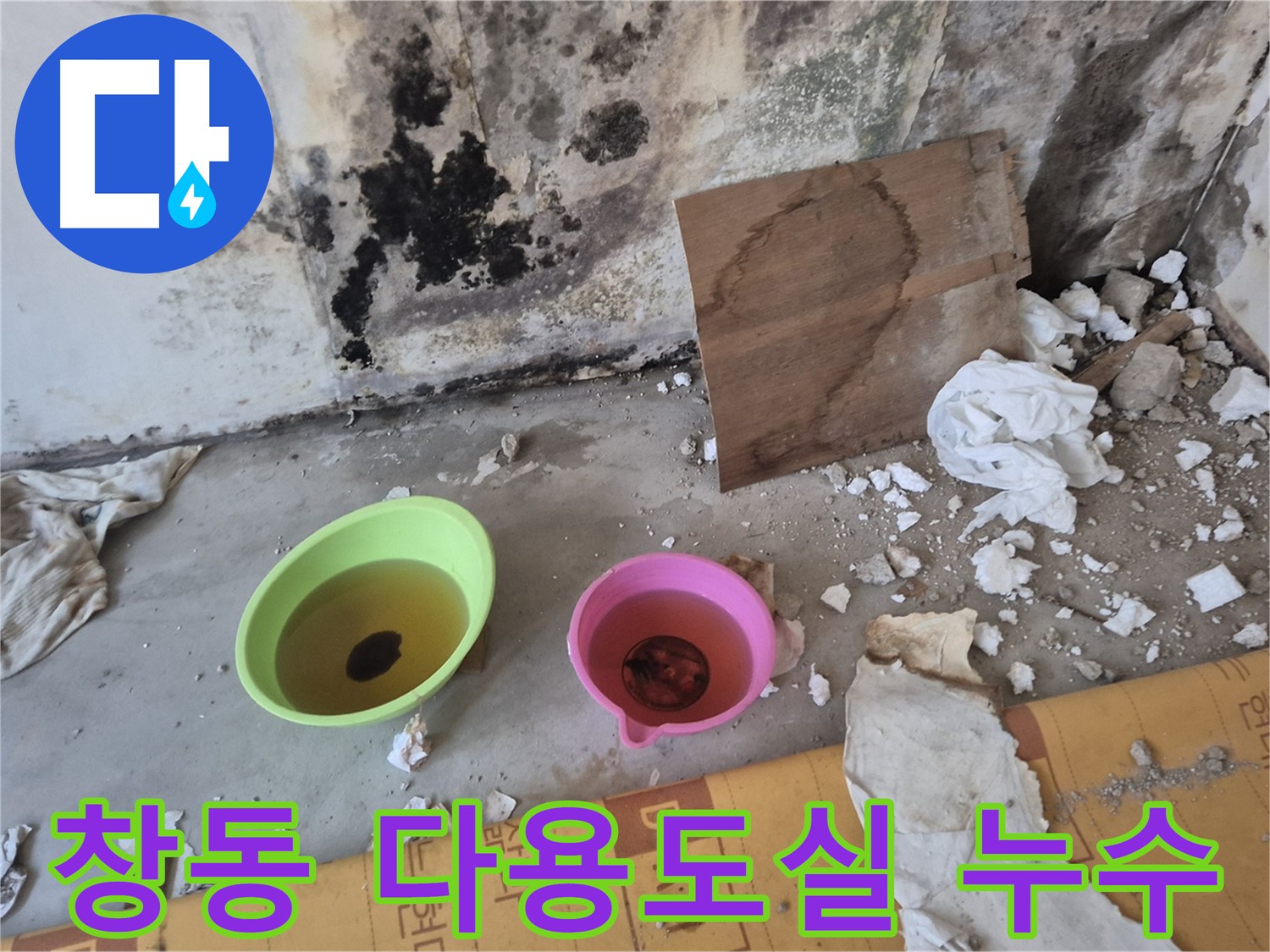 도봉구 창동 덕릉로54가길 누수 현장 - 다용도실 바닥에 물이 고여있고 벽에 곰팡이가 피어있는 모습 - 습한 환경으로 곰팡이가 번식하기 쉬운 다용도실 누수입니다.