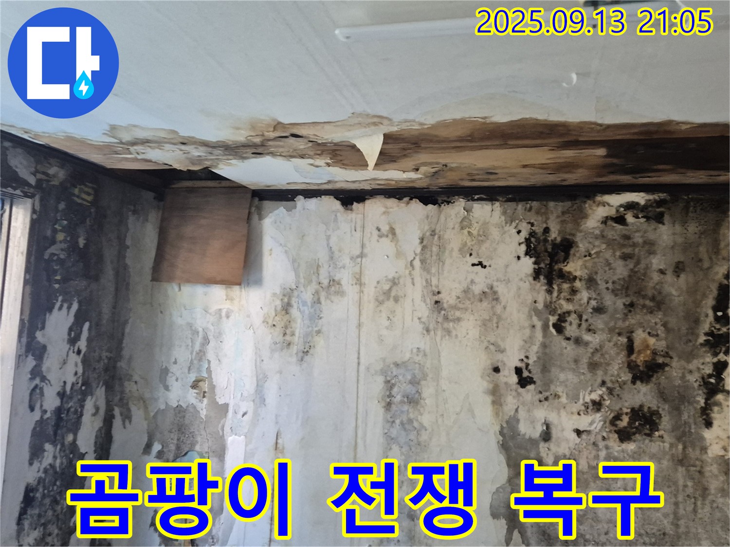 도봉구 창동 주택 - 곰팡이와의 전쟁을 선포하고 긴급 복구 작전에 돌입하는 모습을 담은 이미지입니다.