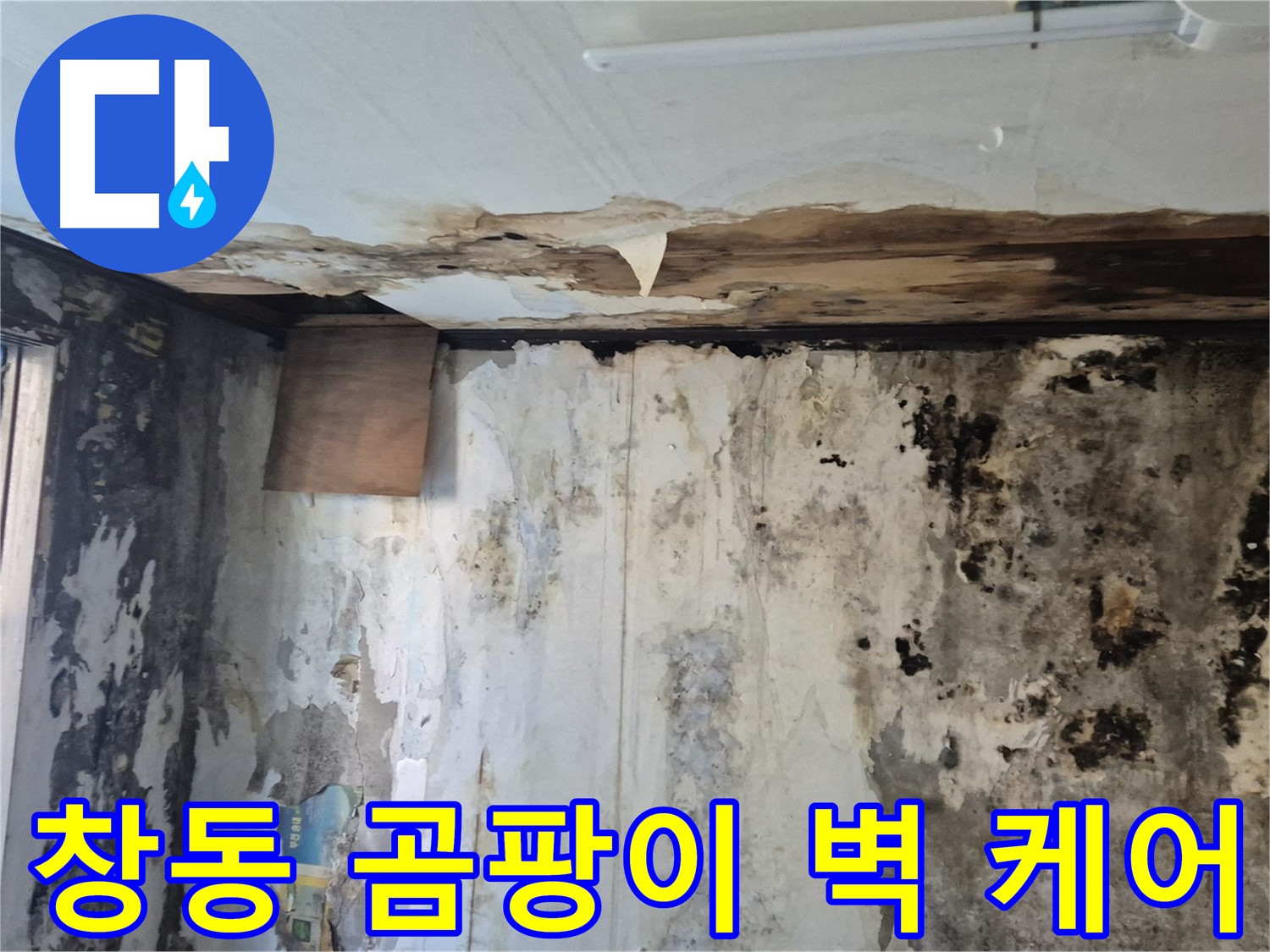 도봉구 창동 주택의 곰팡이로 가득한 벽 - 누수 해결과 함께 완벽하게 케어하는 과정을 담았습니다.
