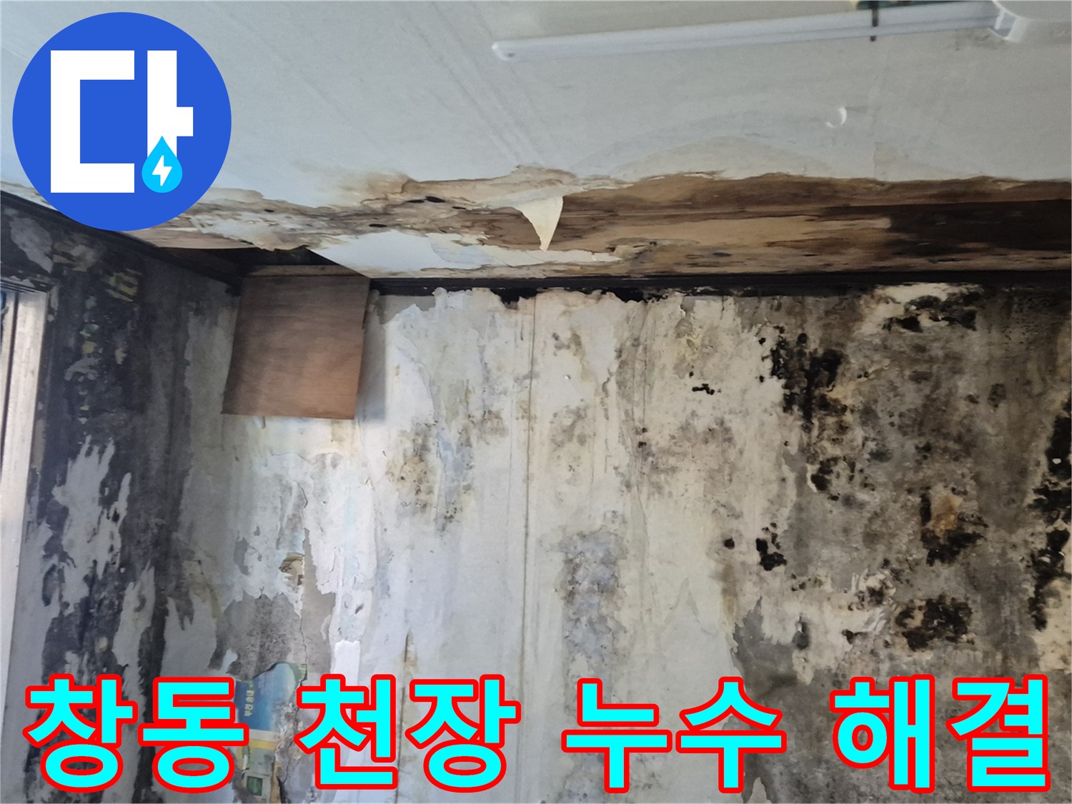 도봉구 창동 주택의 천장 누수 해결 과정 - 누수 원인 진단부터 완벽한 시공까지 꼼꼼하게 담았습니다.