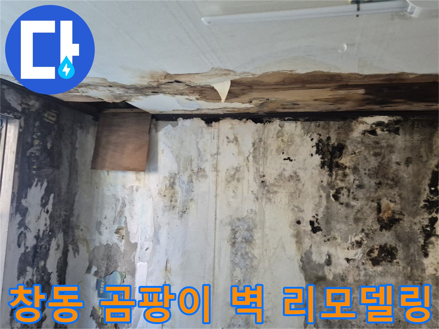 창동 주택의 곰팡이로 뒤덮인 벽 - 누수 해결과 함께 깨끗하게 리모델링하는 과정을 담았습니다.