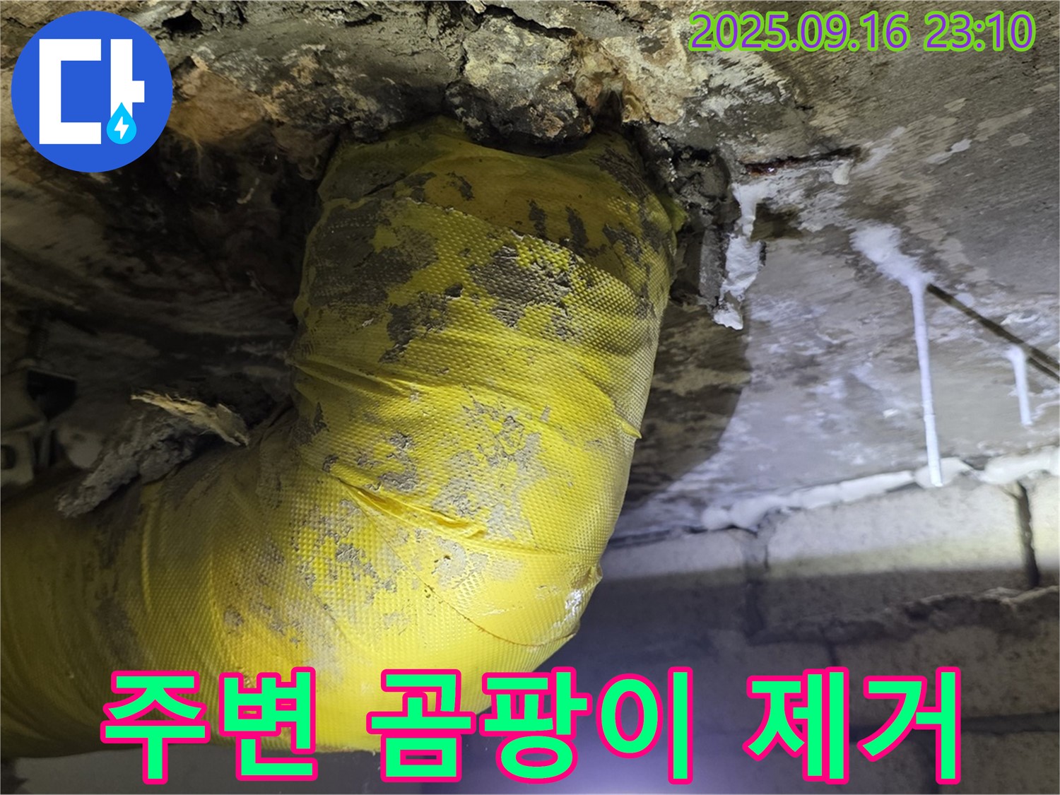 노란 배관 주변 곰팡이를 완벽하게 제거한 모습 - 쾌적한 환경을 되찾았습니다.
