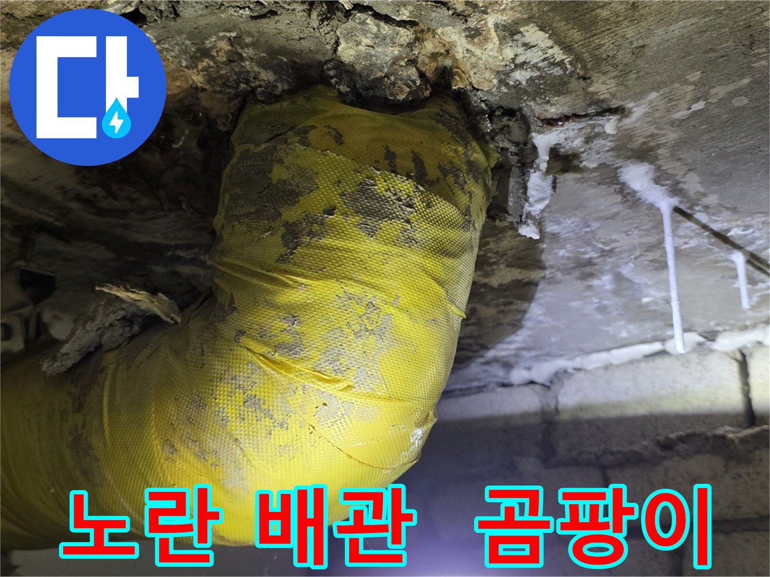노란 배관의 습격, 곰팡이와 악취 - 신사동 새절역 인근 누수 긴급 해결