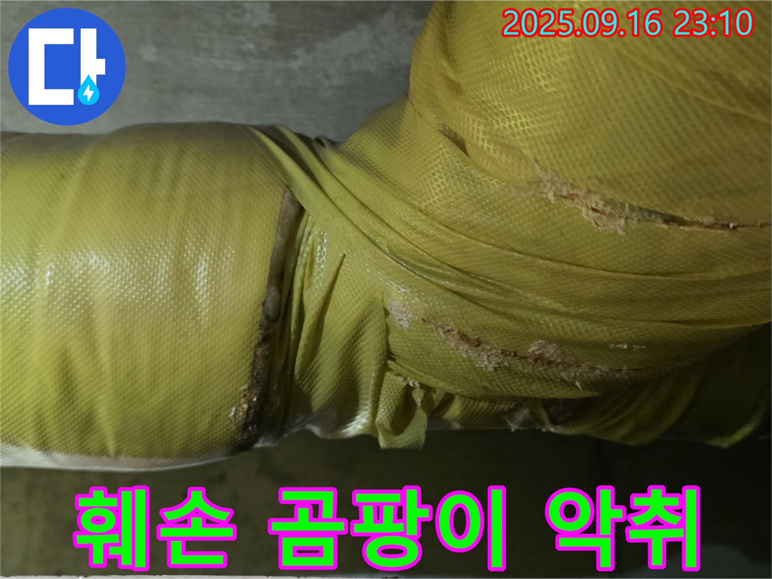 배관 보온재 훼손 부위에서 곰팡이 발생 및 악취가 나는 모습입니다 - 건강에 해로울 수 있습니다.