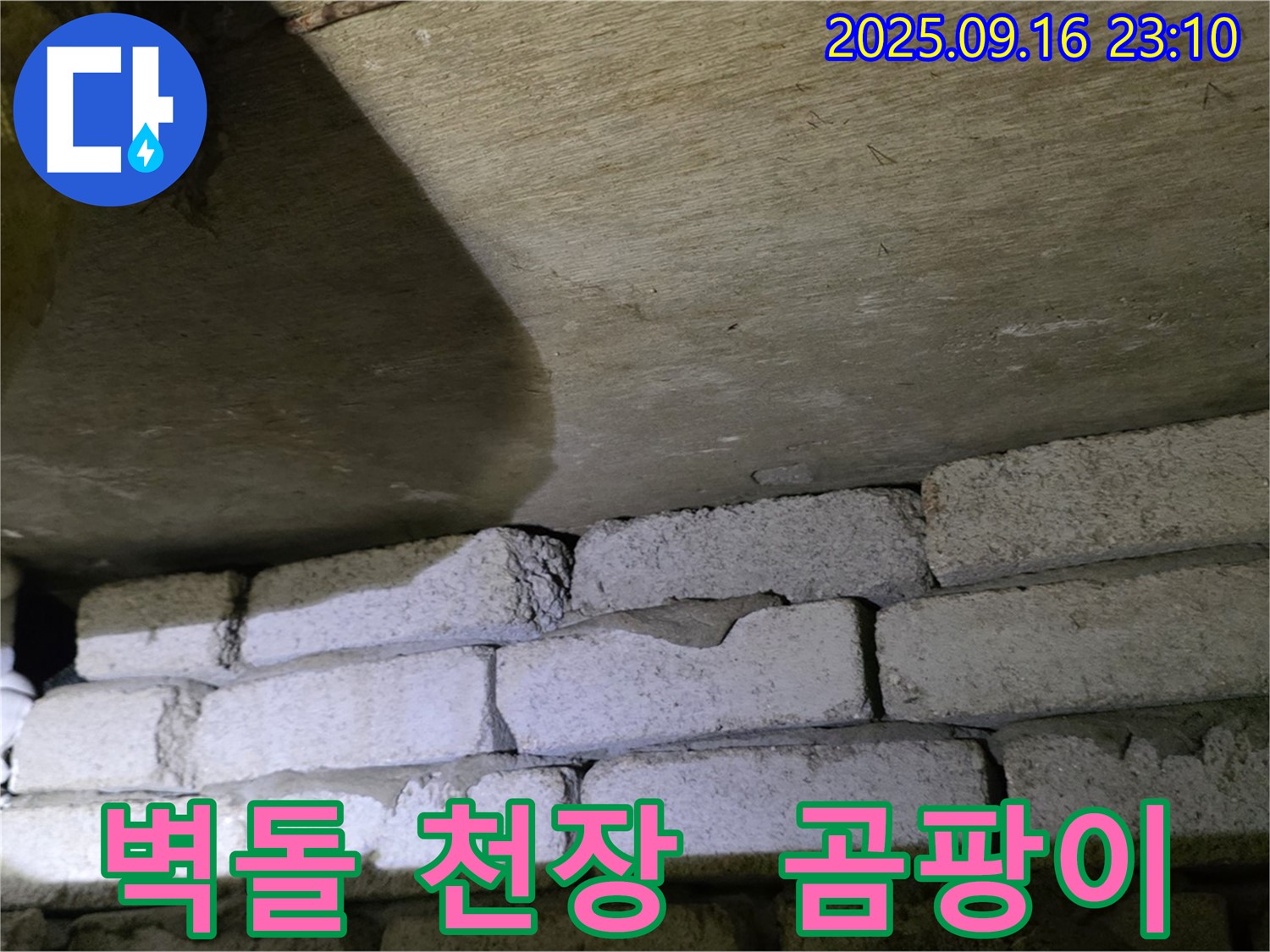 벽돌 천장 곰팡이 - 누수와의 연관성 정밀 조사