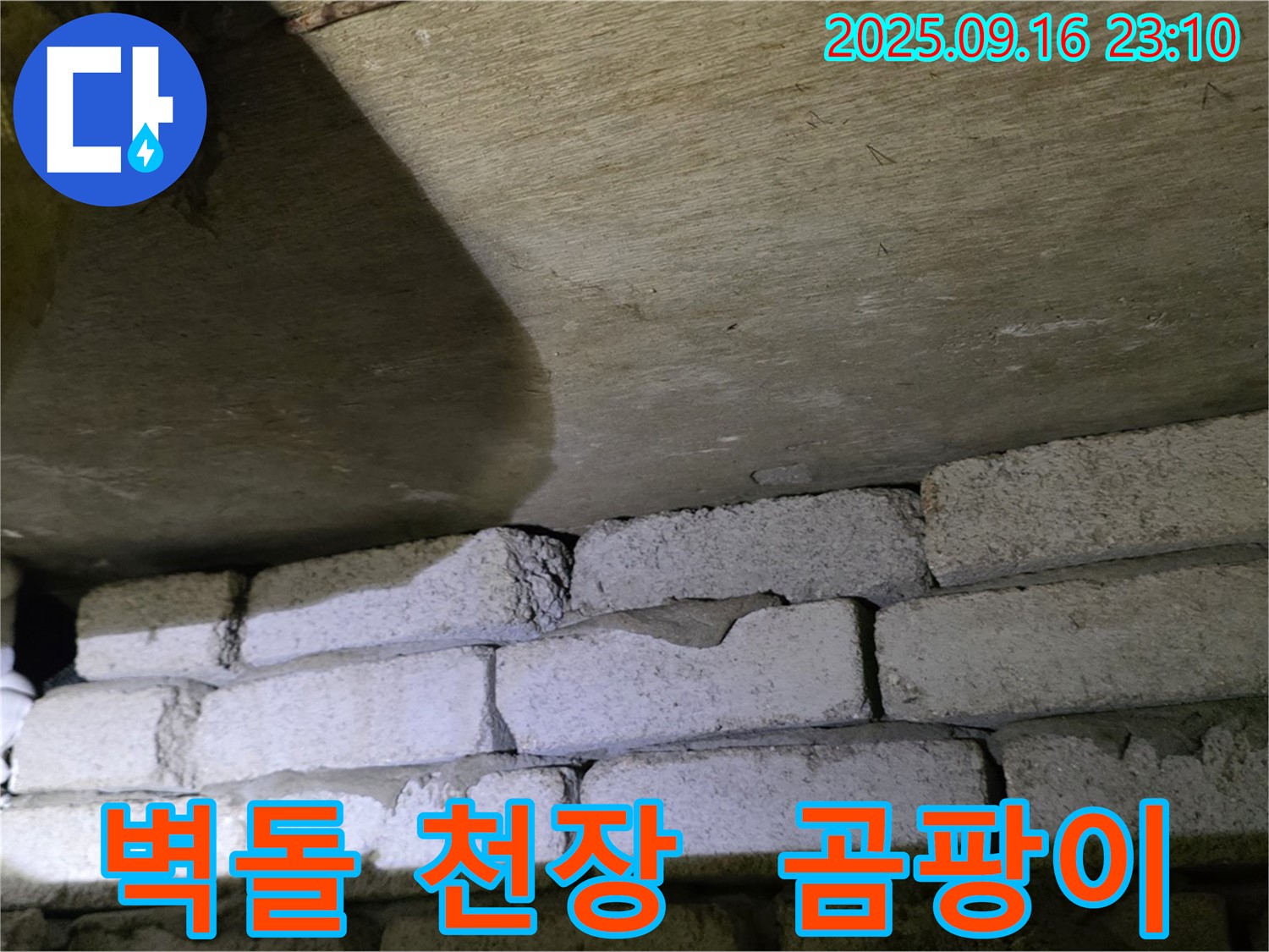 벽돌 천장 곰팡이 - 누수와의 연관성 정밀 조사