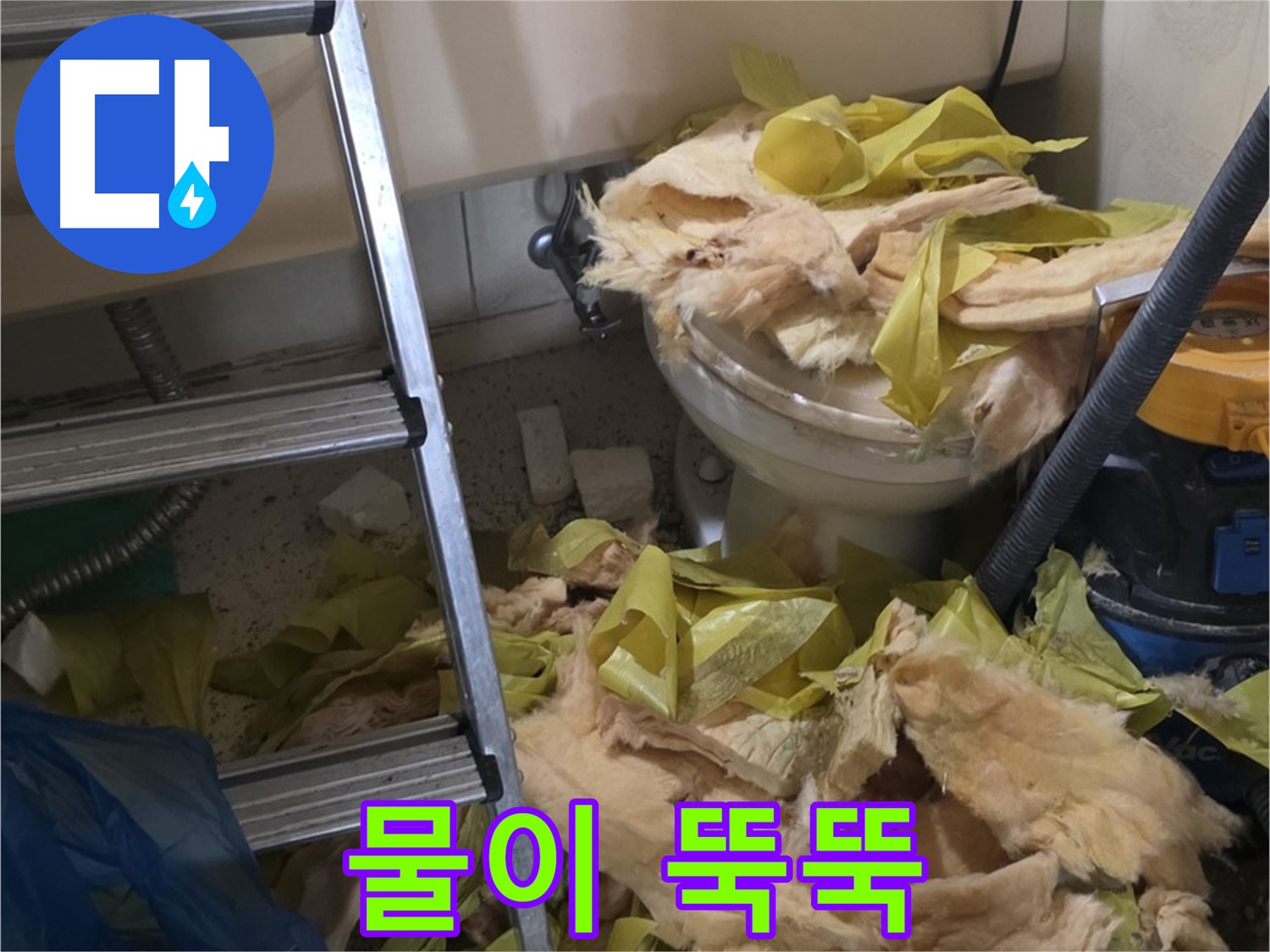 새절 누수 현장 - 물이 뚝뚝 떨어지는 배관, 곰팡이 번식 위험 - 즉시 조치
